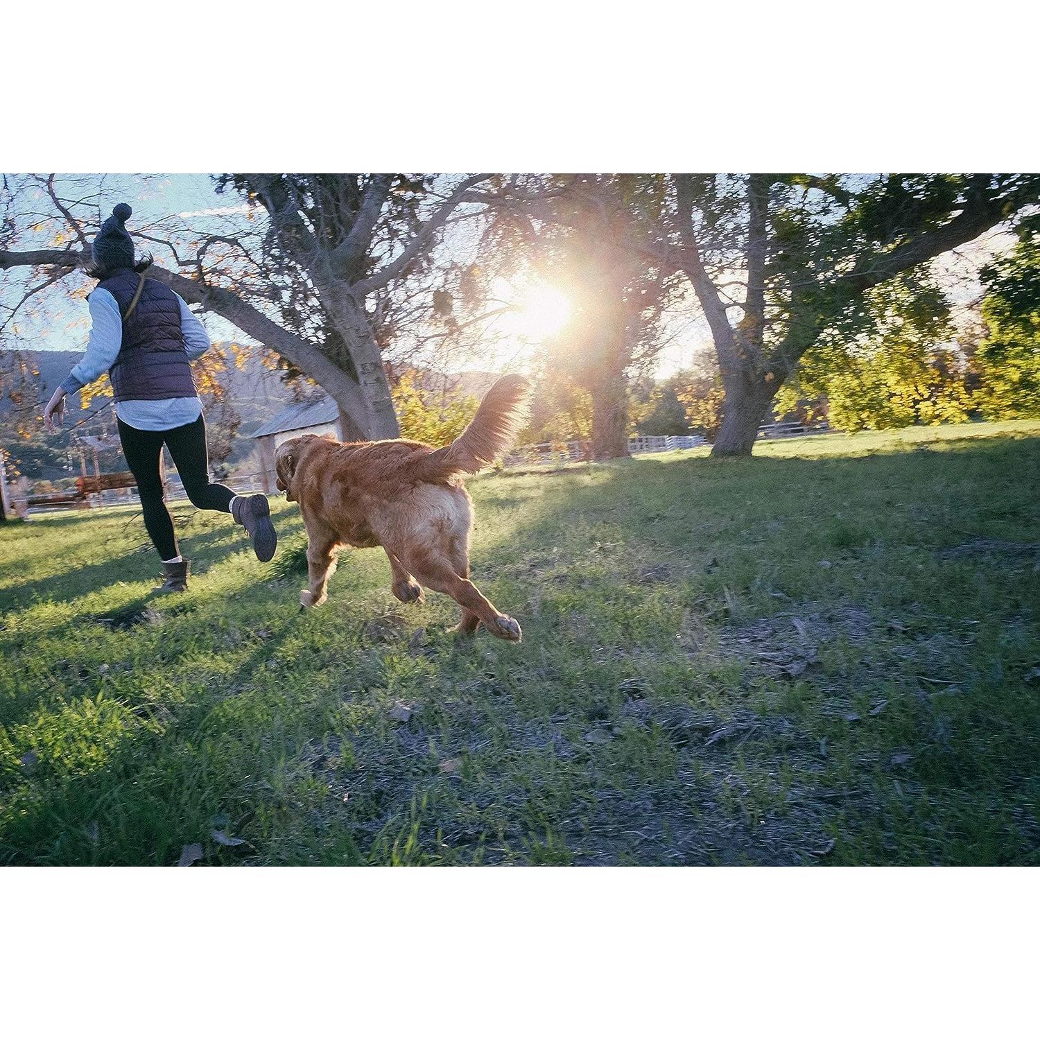Juguete para Perros Jolly Pets Tug-N-Toss Grande 20 cm Azul