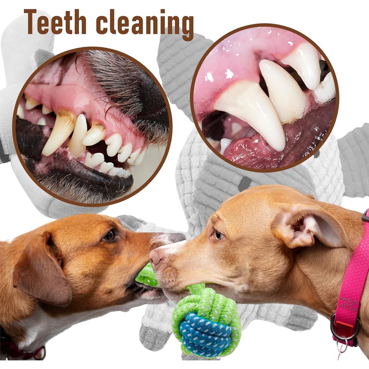 Juguetes de Peluche Squeaky Mruq Pet 12 Piezas para Perros