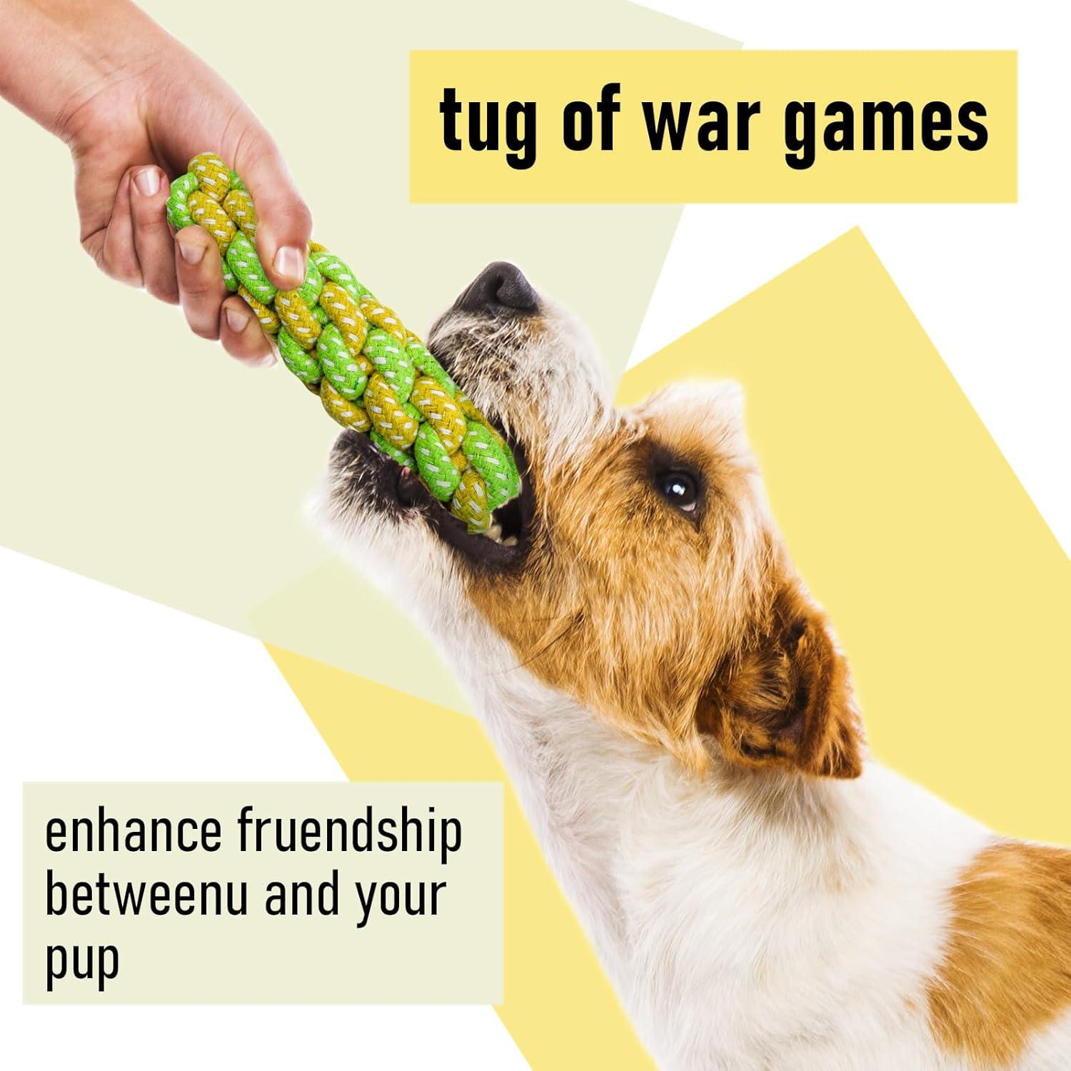 Juguetes de Peluche Squeaky Mruq Pet 12 Piezas para Perros