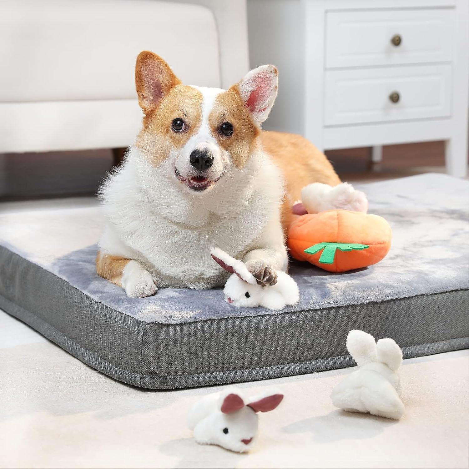 Juguete de peluche interactivo para perros Amazon Basics 5 piezas