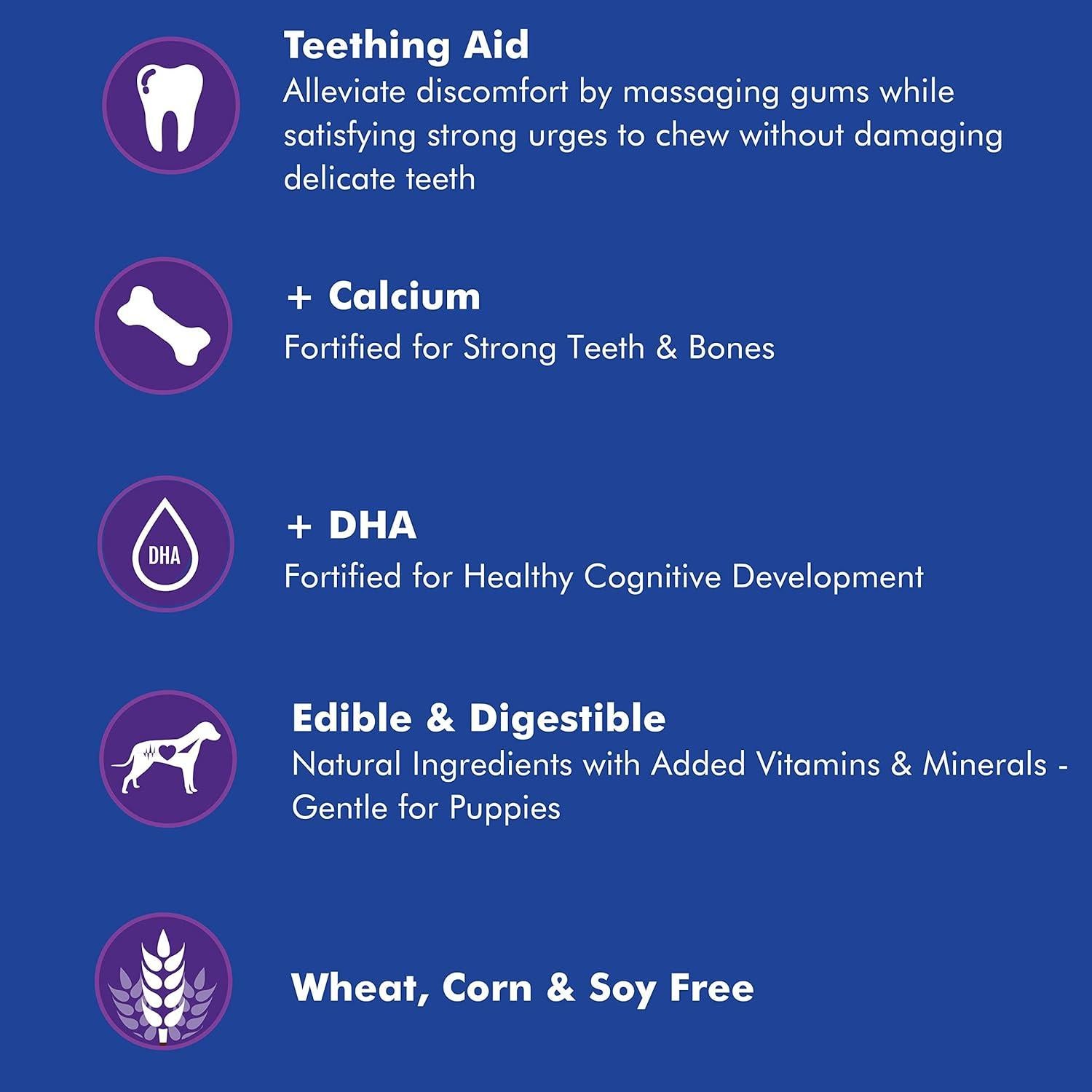 Anillo de Dentición N-Bone Sabor Calabaza 6 Paquete 24.77x8.26cm