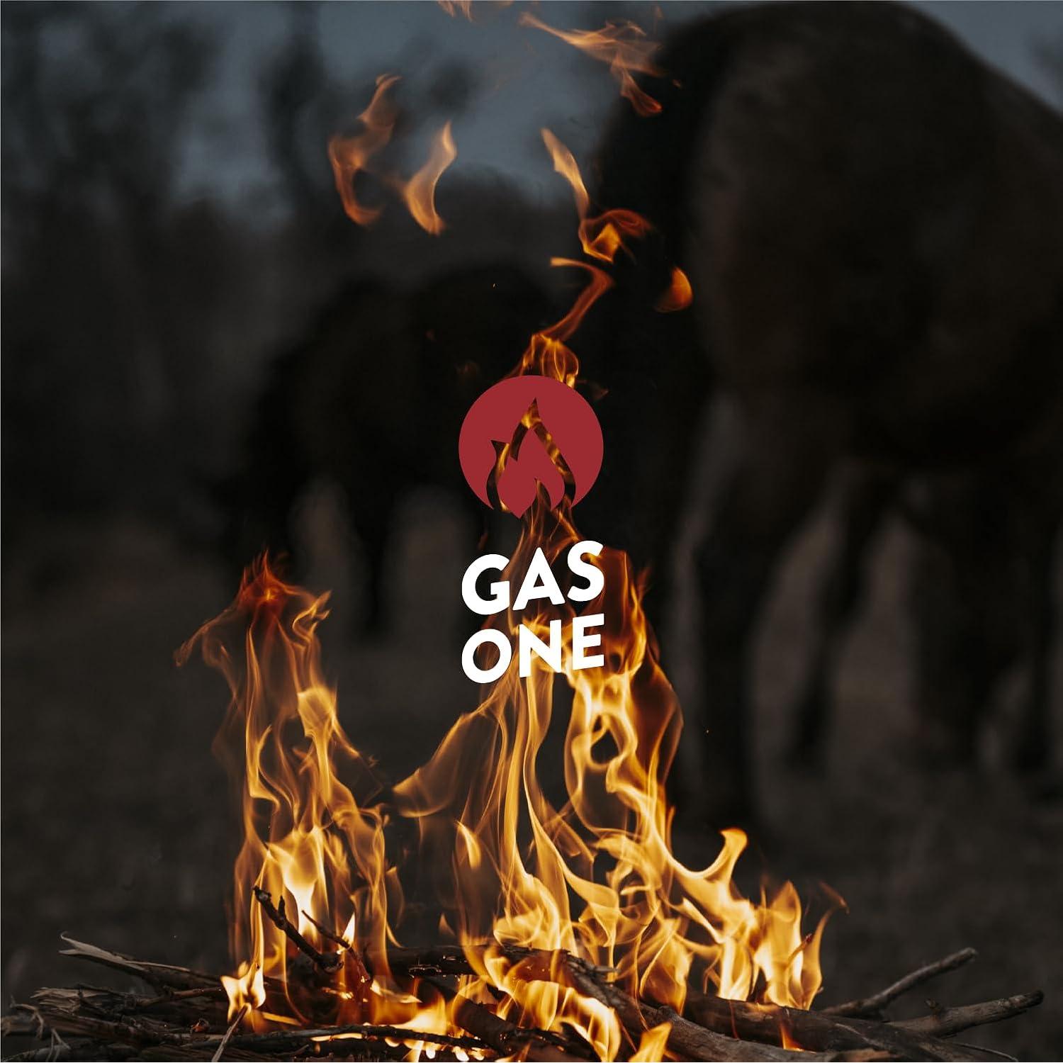 Fogón Exterior Gas One 58 cm Acero Aleado Duradero