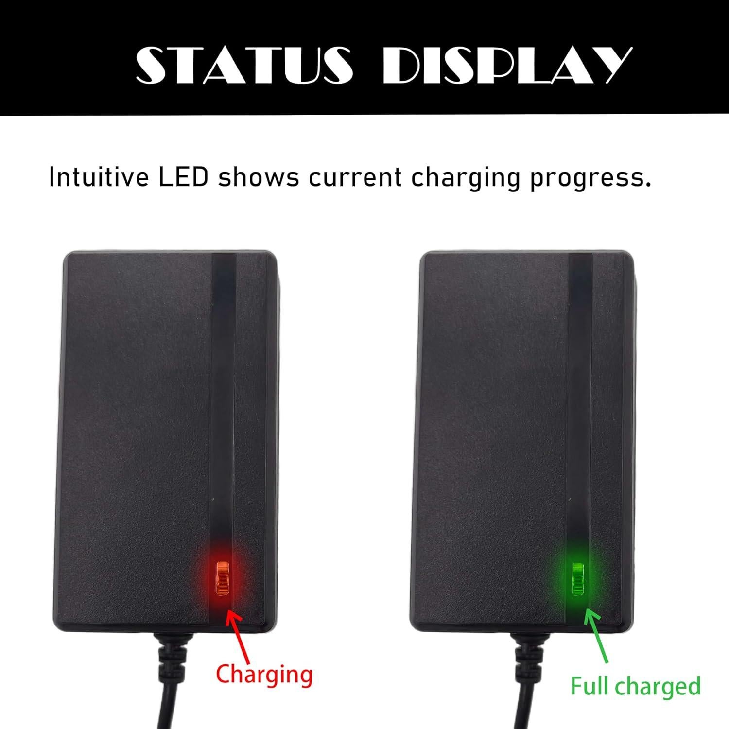 Cargador Multifuncional BUMPKAI 6V 12V 24V para Autos Eléctricos