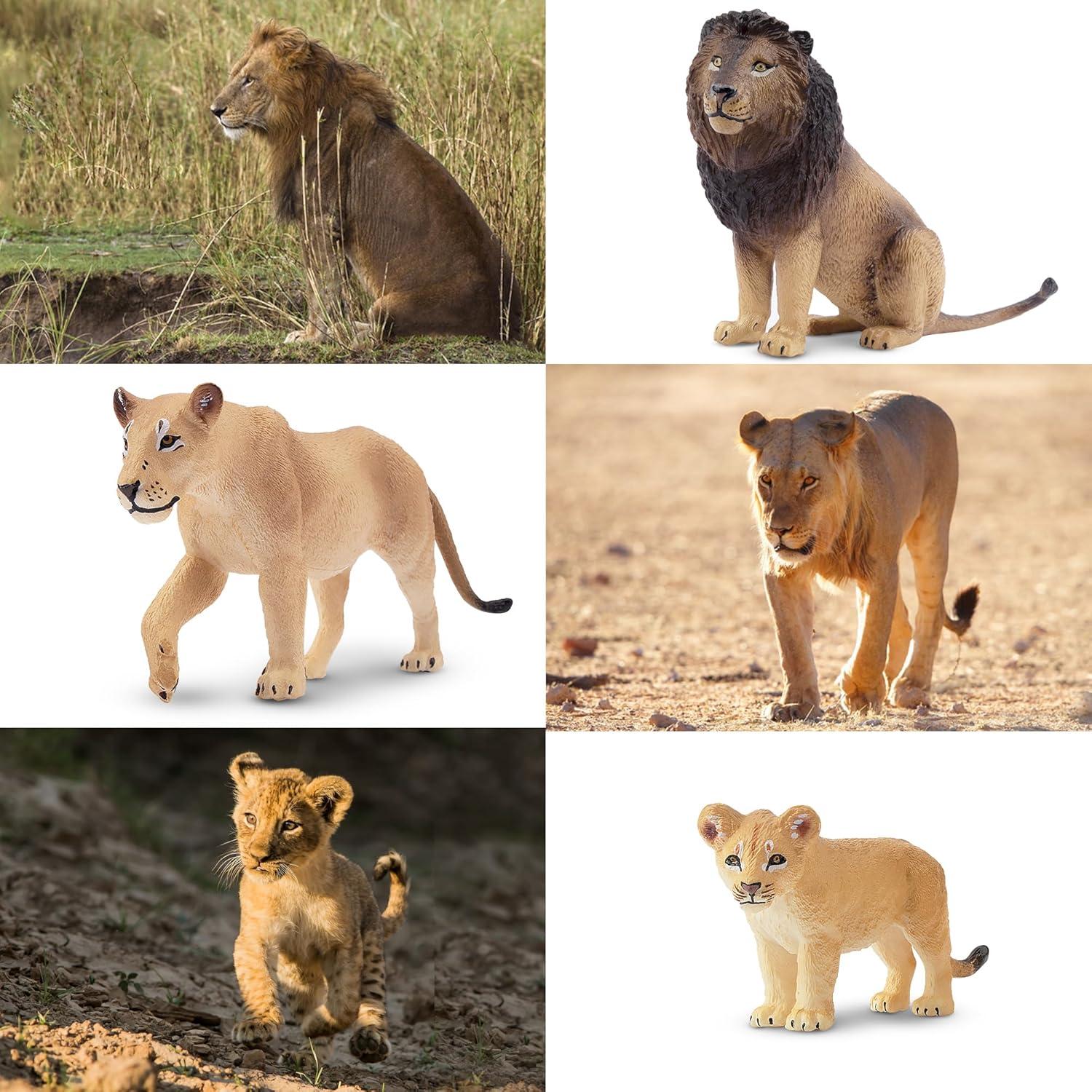 Set de Figuras de Leones Toymany 6PCS Realistas 10cm