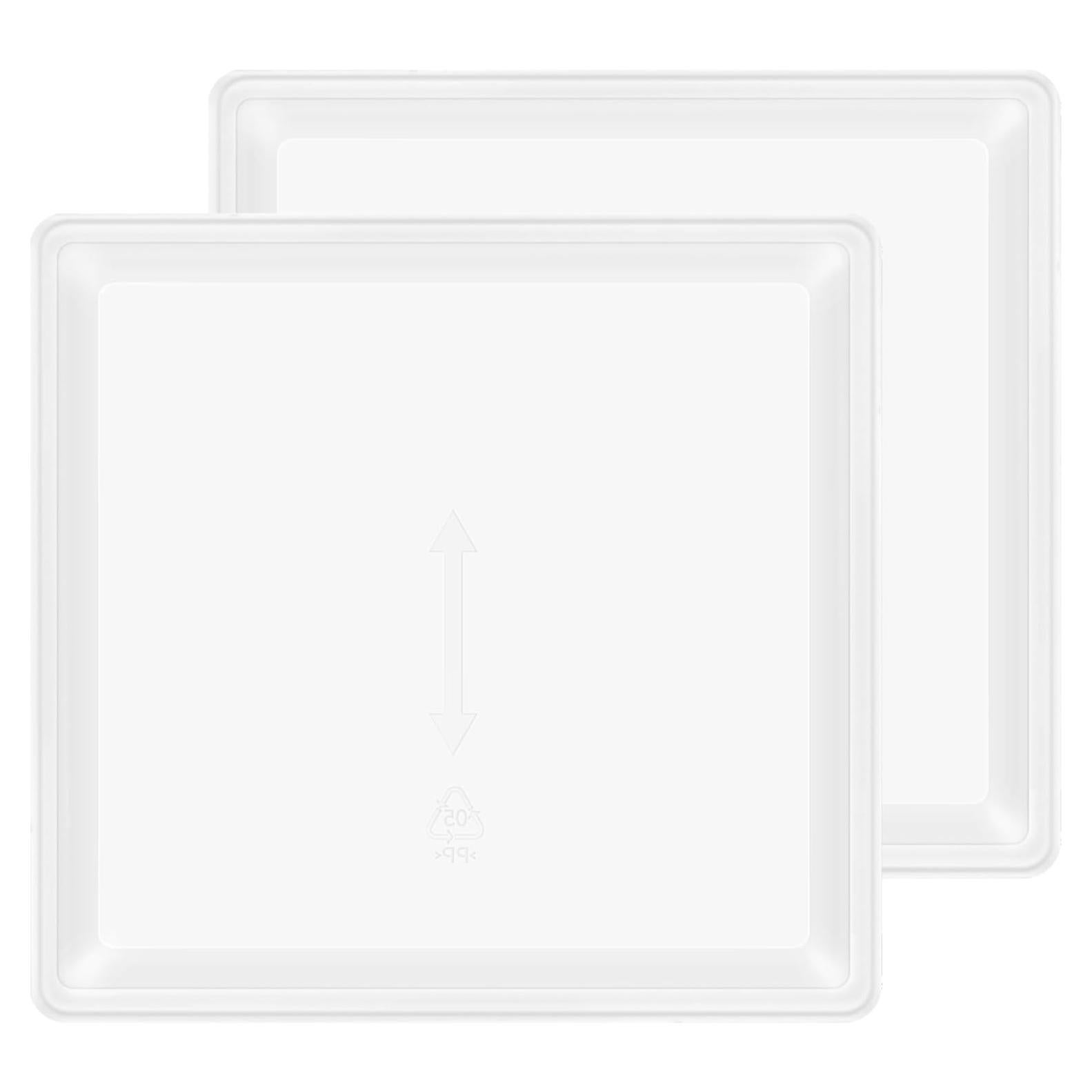 Hojas para Rollos de Frutas COSORI 2 Piezas Sin BPA