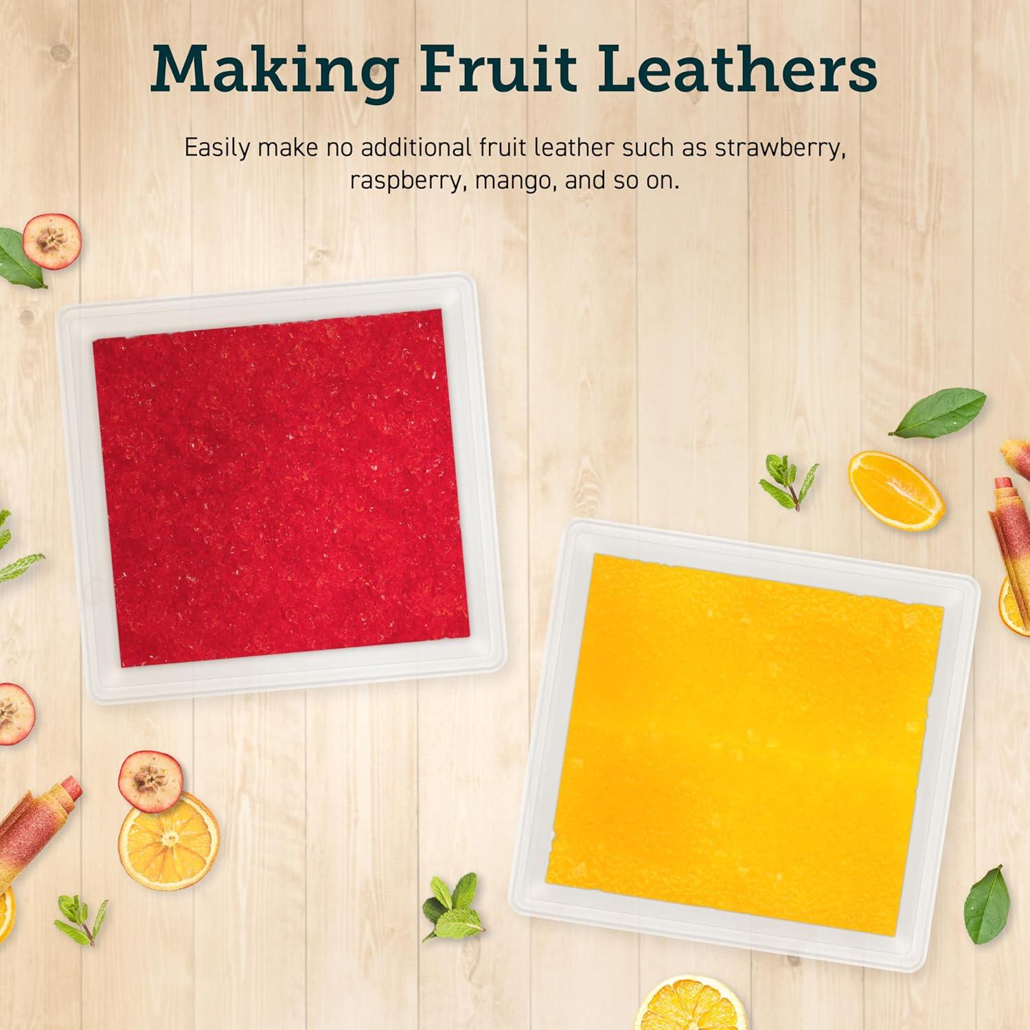 Hojas para Rollos de Frutas COSORI 2 Piezas Sin BPA