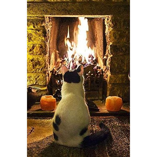 Control de Velocidad Hongso para Ventilador de Chimenea