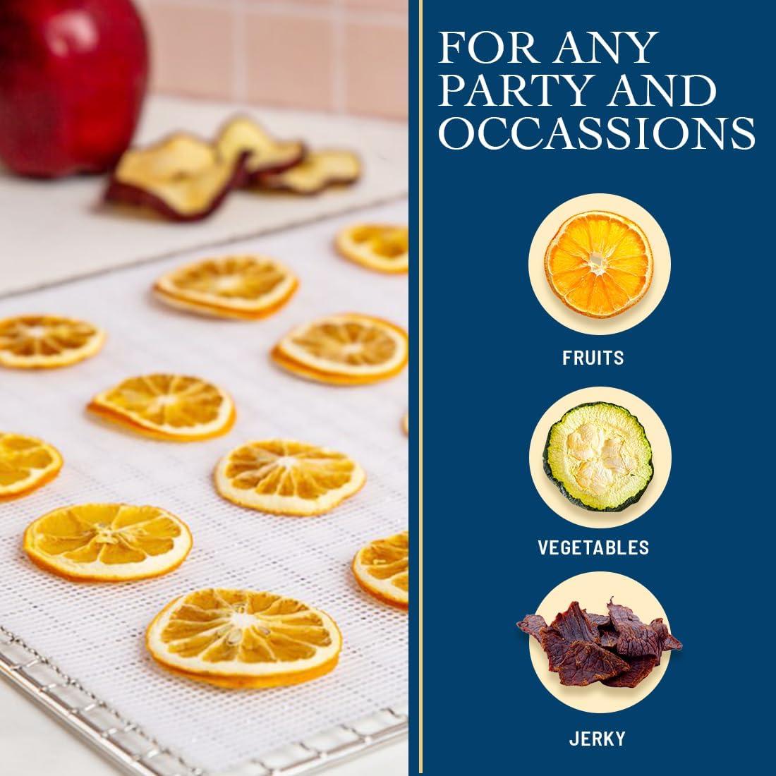 Hojas de Deshidratador Lova 12 Piezas 35.5x35.5cm Silicona