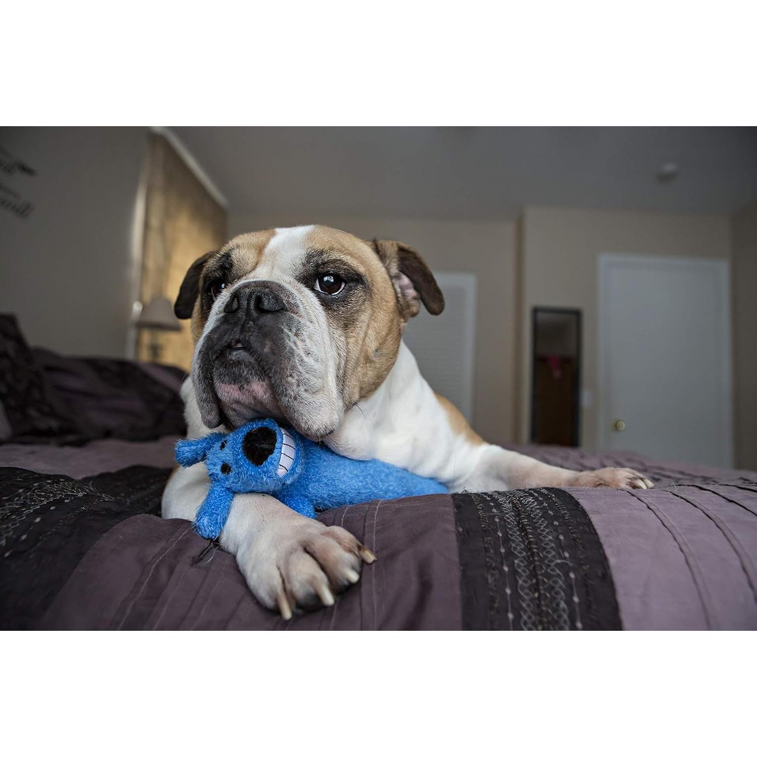 Juguete para Perros Loofa Cumpleaños Feliz Multipet 30 cm