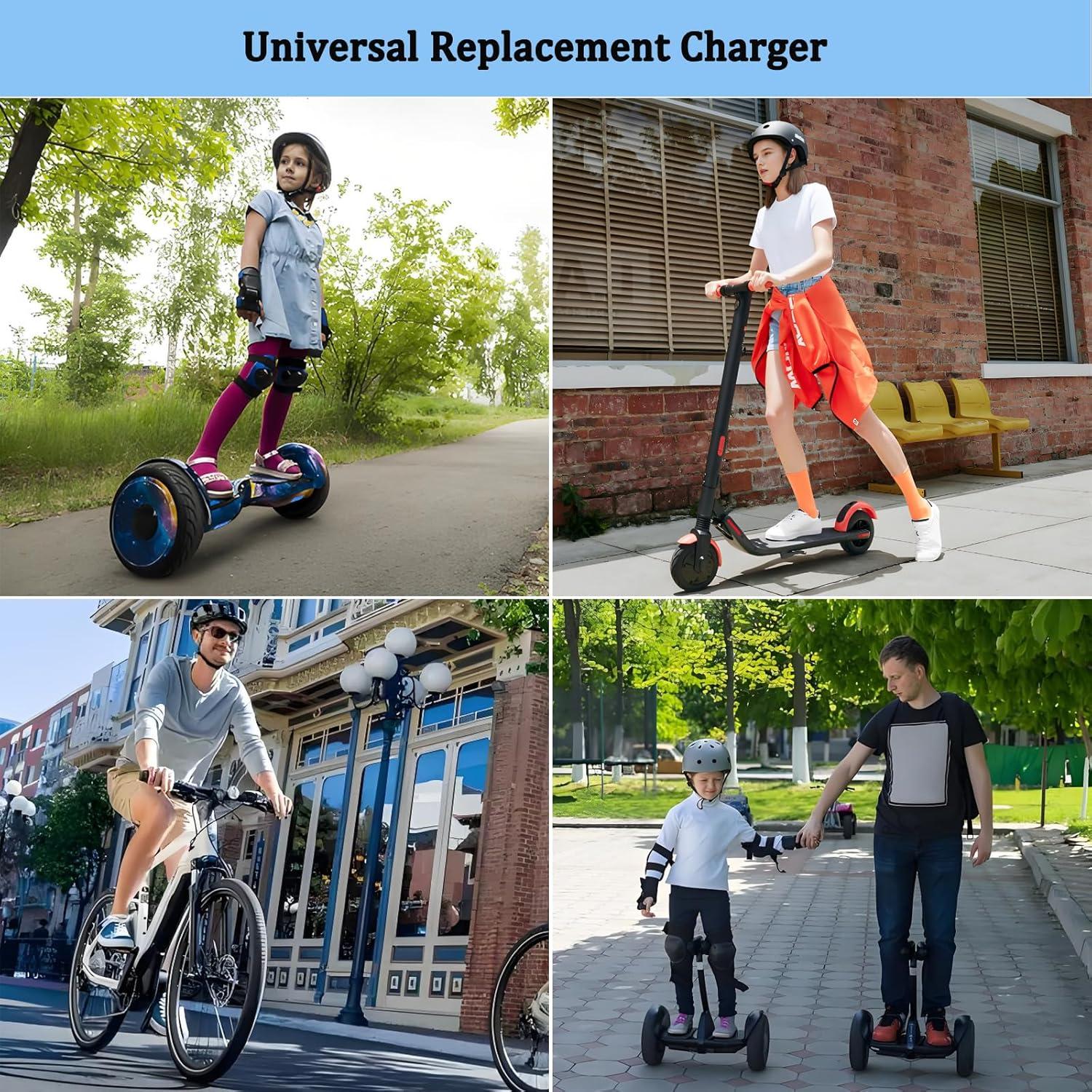 Cargador Rápido 42V 2A Universal para Scooter Eléctrico