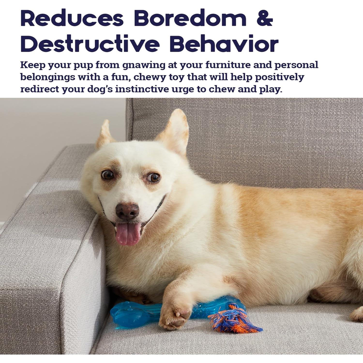 Juguete para Masticar Perro Petstages Orka Bone Azul 19cm