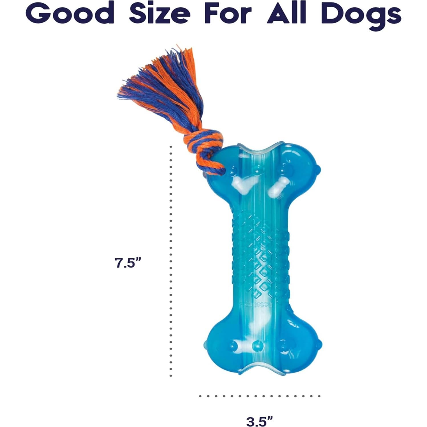 Juguete para Masticar Perro Petstages Orka Bone Azul 19cm