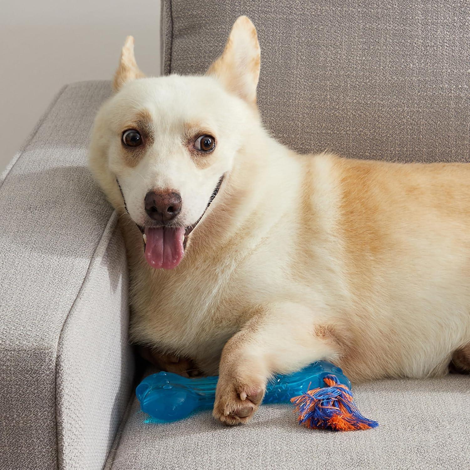 Juguete para Masticar Perro Petstages Orka Bone Azul 19cm