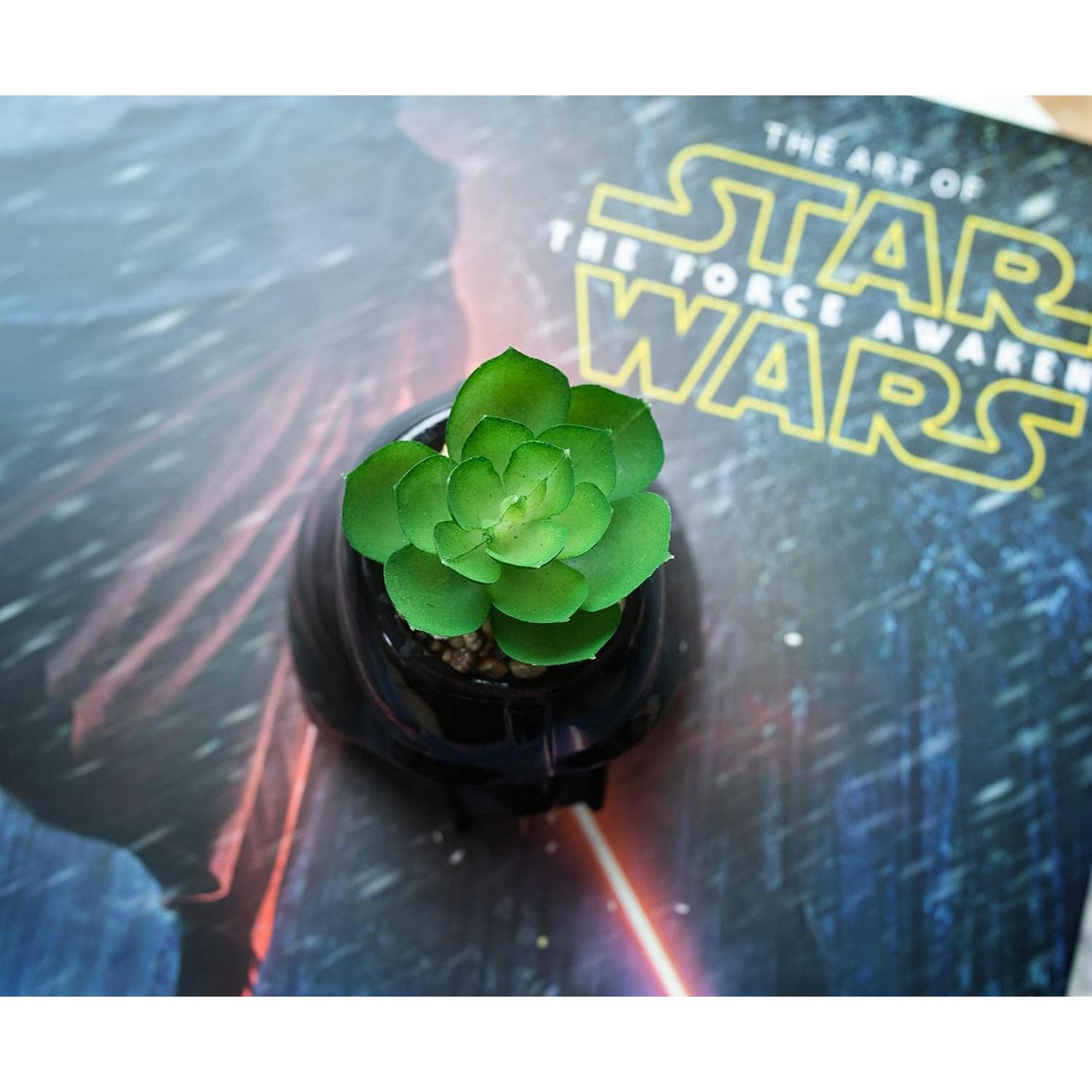 Maceta Mini Darth Vader Cerámica 7.6 cm con Suculenta