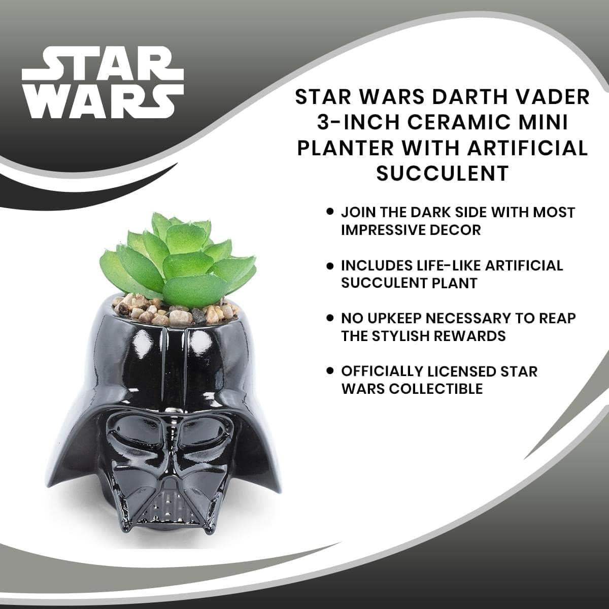 Maceta Mini Darth Vader Cerámica 7.6 cm con Suculenta