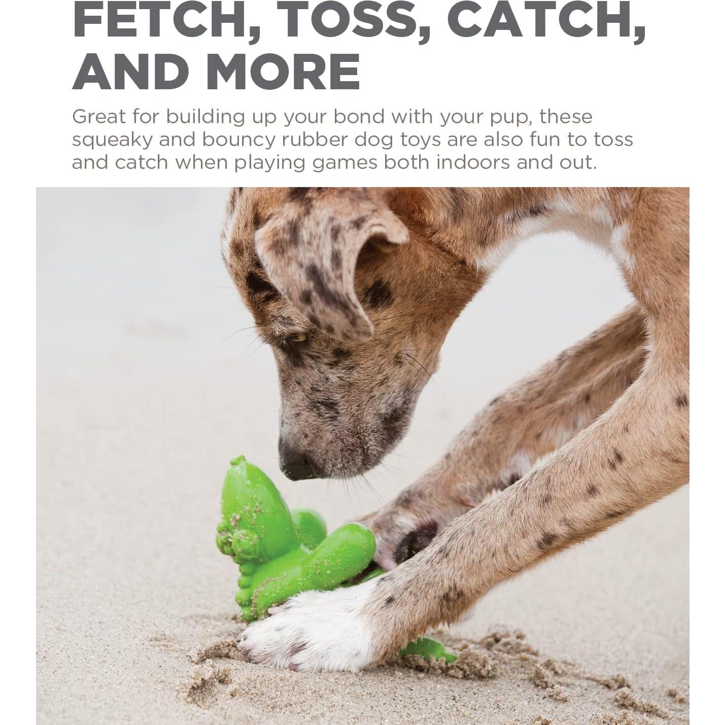 Juguete Squeaky para Perros Outward Hound Cocodrilo Grande