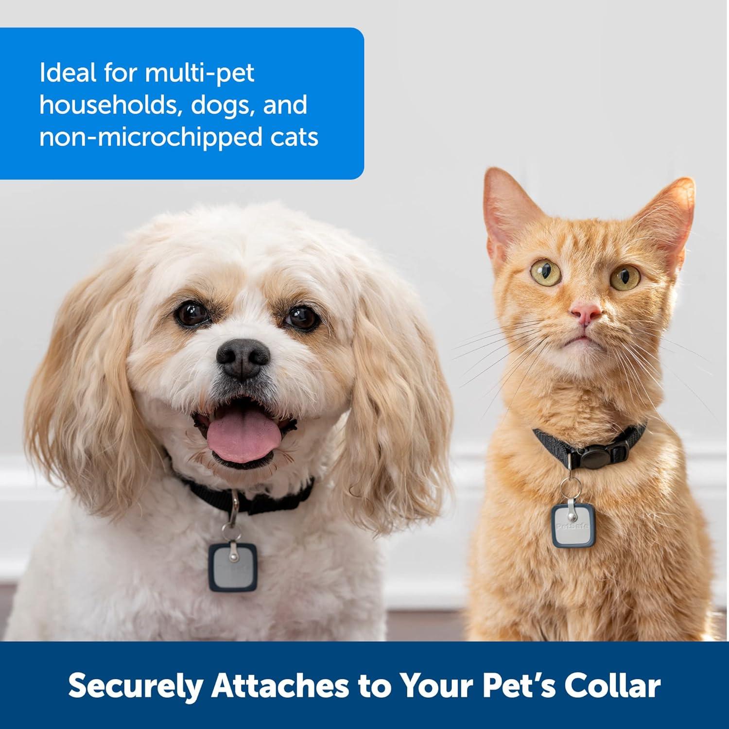 Llave para Mascotas PetSafe SmartDoor Pequeña ZAC19-17240