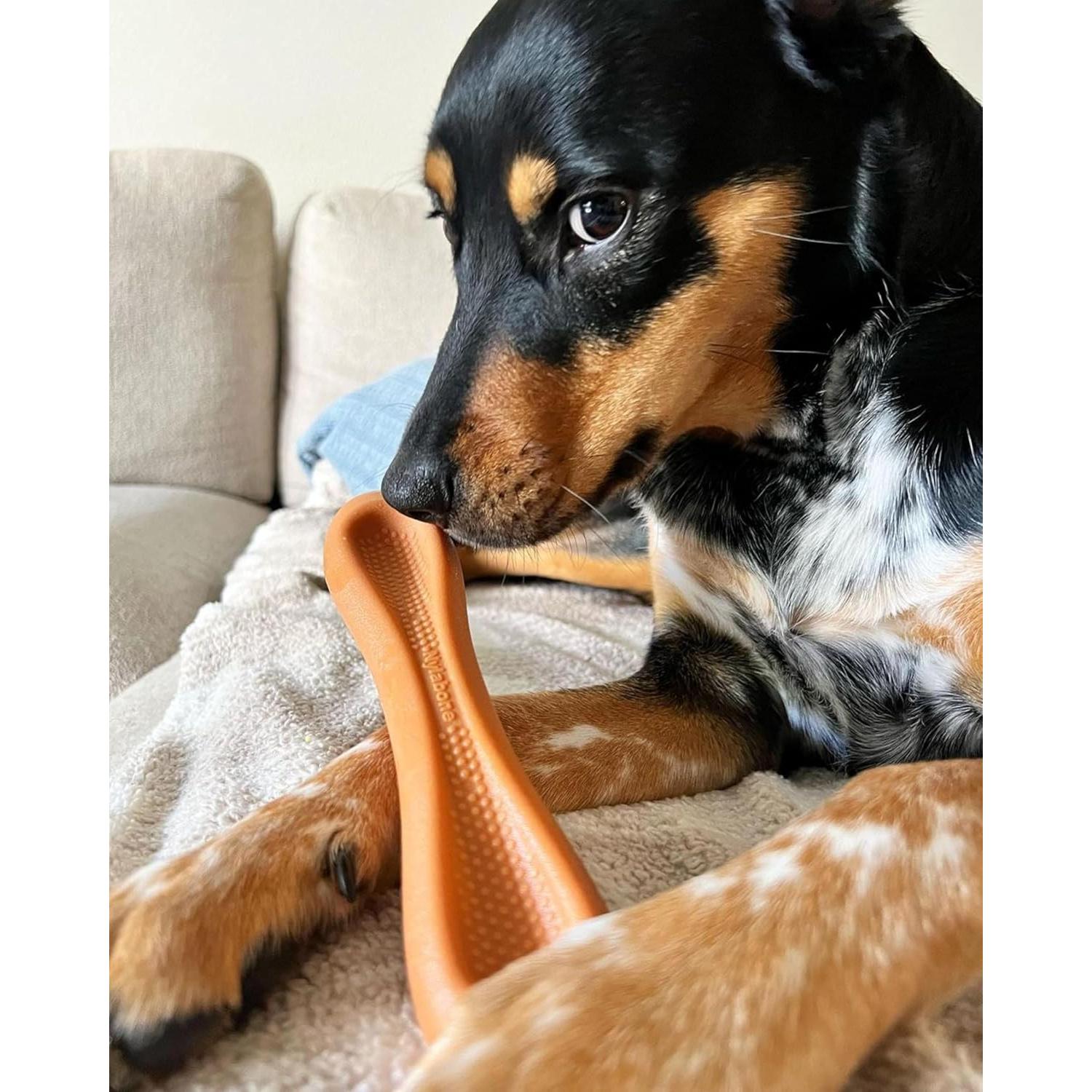 Juguete para Masticar Nylabone Baguette Grande Sabor Pollo