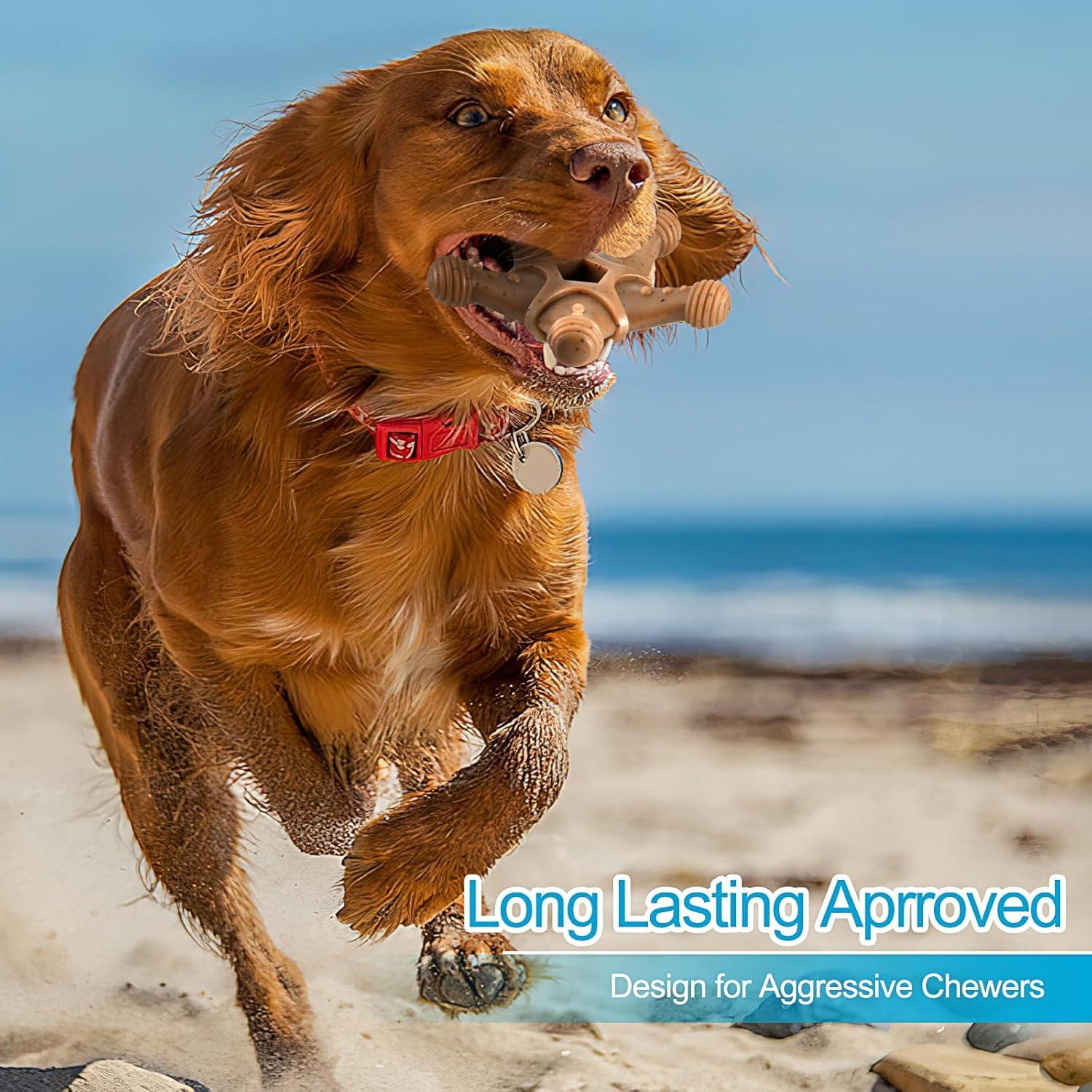 Juguetes para perros PETSTA indestructibles - Pack de 4