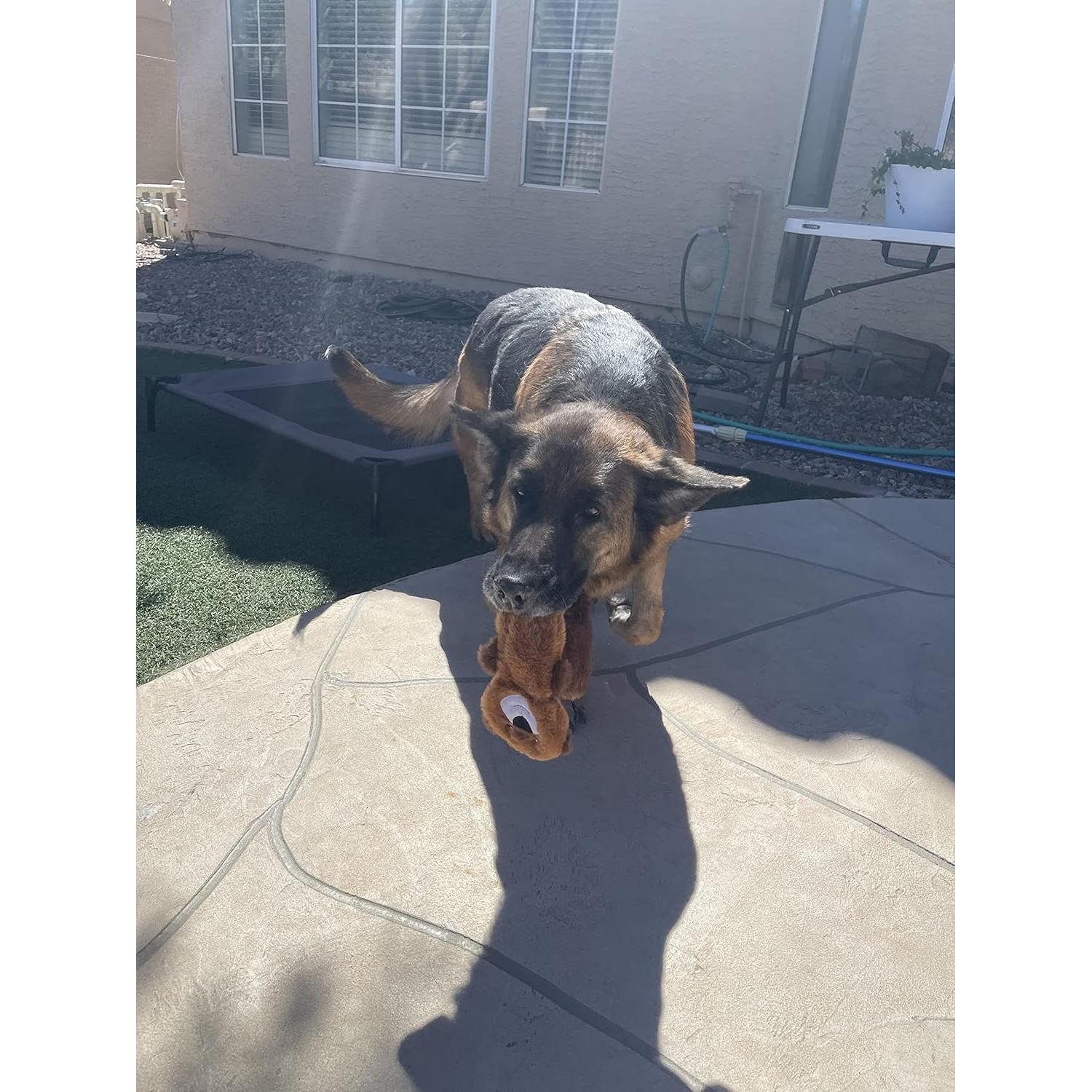 Jalousie 5 Pack Stuffingless Dog Crinkle Paper Toys Dog Toy Dog w/Durable Liner No Stuffing Dog Toy - Dog Toys for Pets Dogs No Stuffing Dog Crinkle Sound Toy for Medium Large Dogs