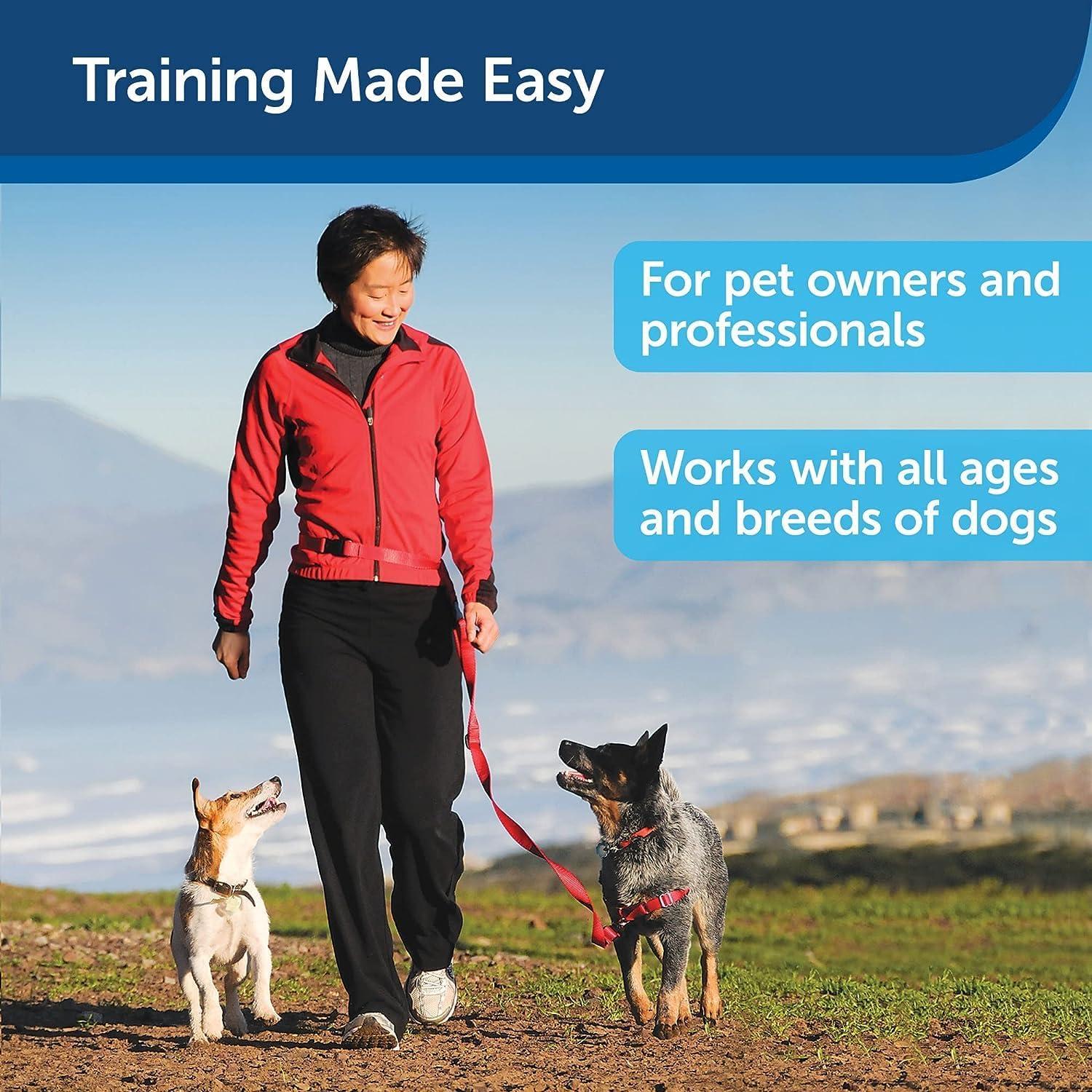 Treat&Train Entrenador Remoto para Perros con Dispensador