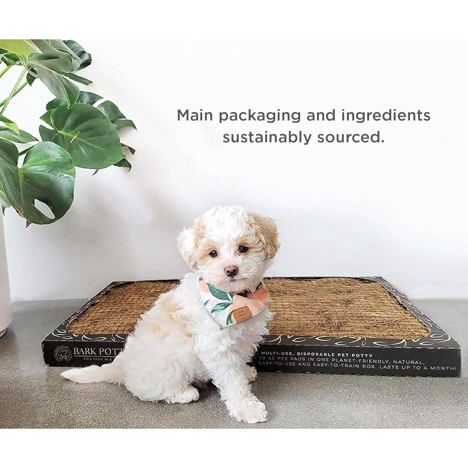 Pañal Desechable para Perros Bark Potty - Estándar 24x16 cm