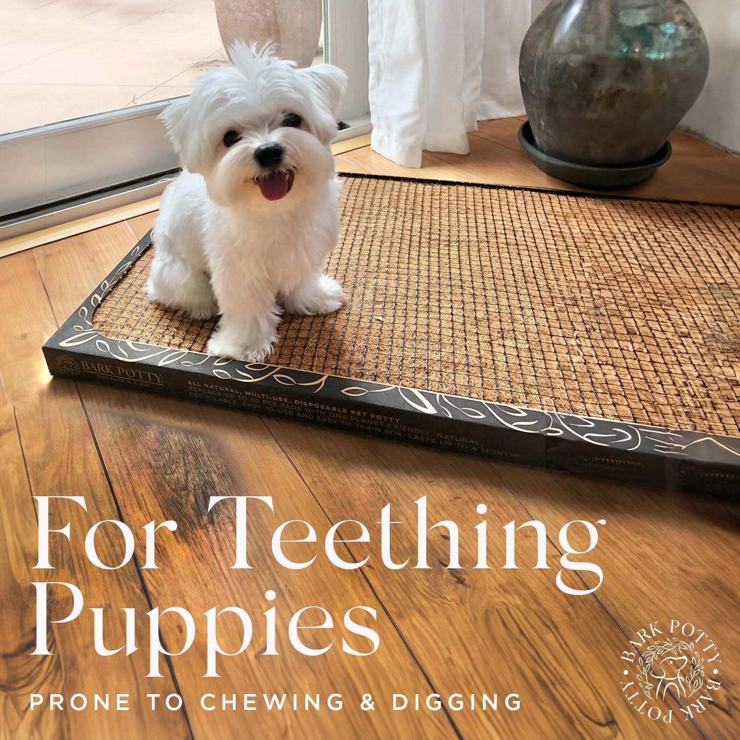 Pañal Desechable para Perros Bark Potty - Estándar 24x16 cm