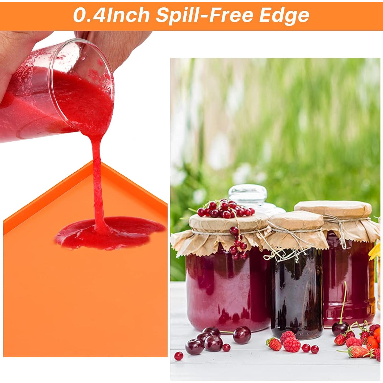 Juego de 6 Sábanas de Deshidratador Aemygo Antiadherentes