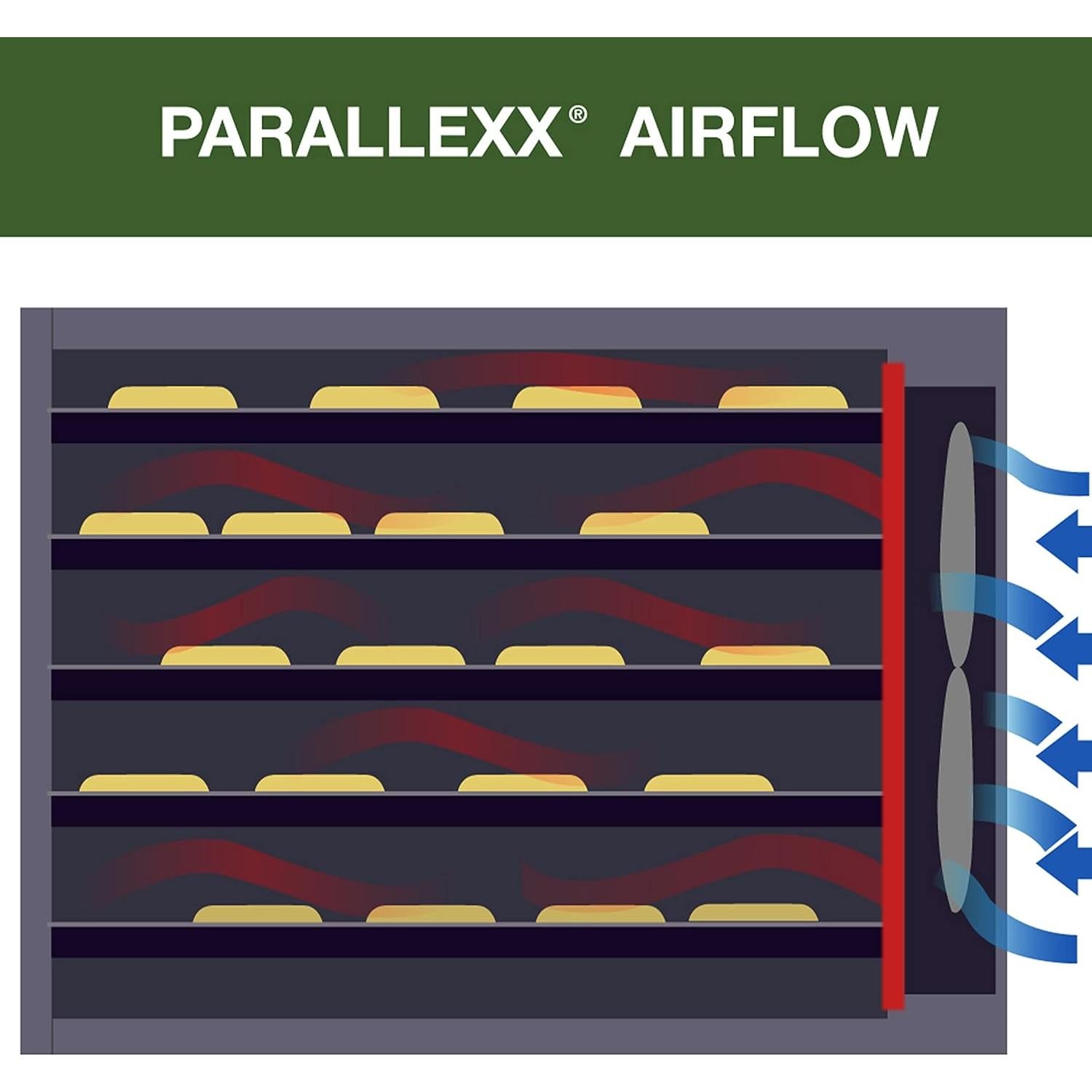 Deshidratadora de Alimentos Excalibur 4 Bandejas 250W Negro