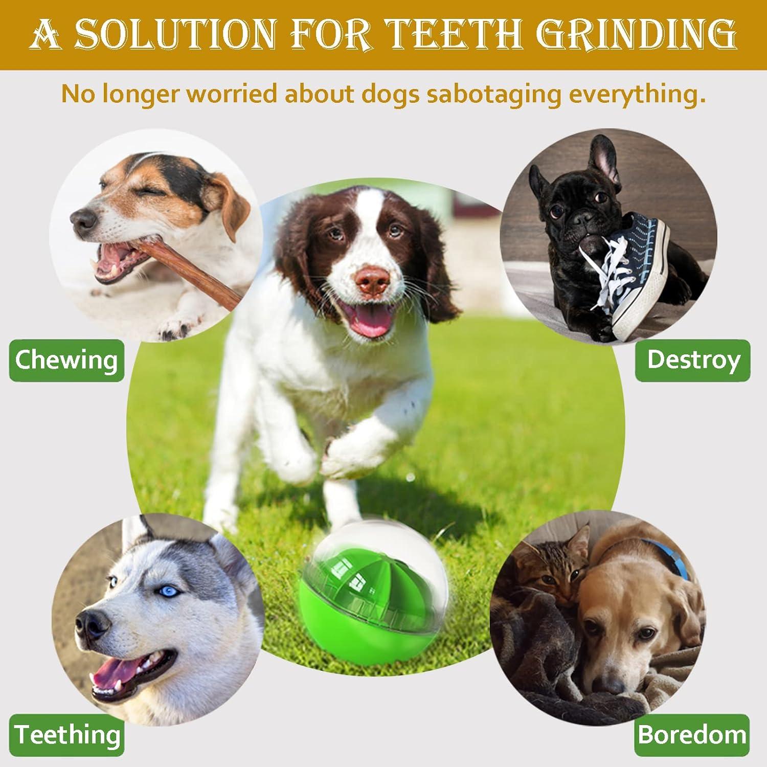 Bola de Alimentación Puzzle Interactiva Kubatis para Perros