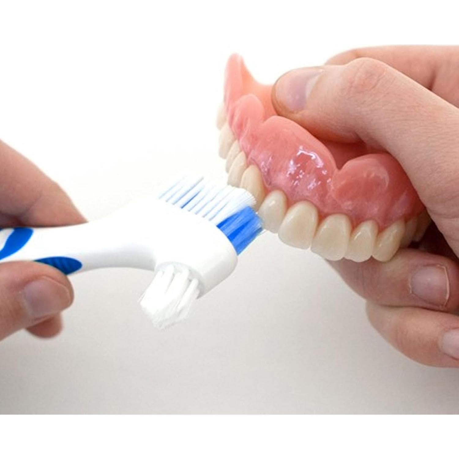 Cepillo de Dentaduras Ceonam 2 Piezas con Estuche Blanco