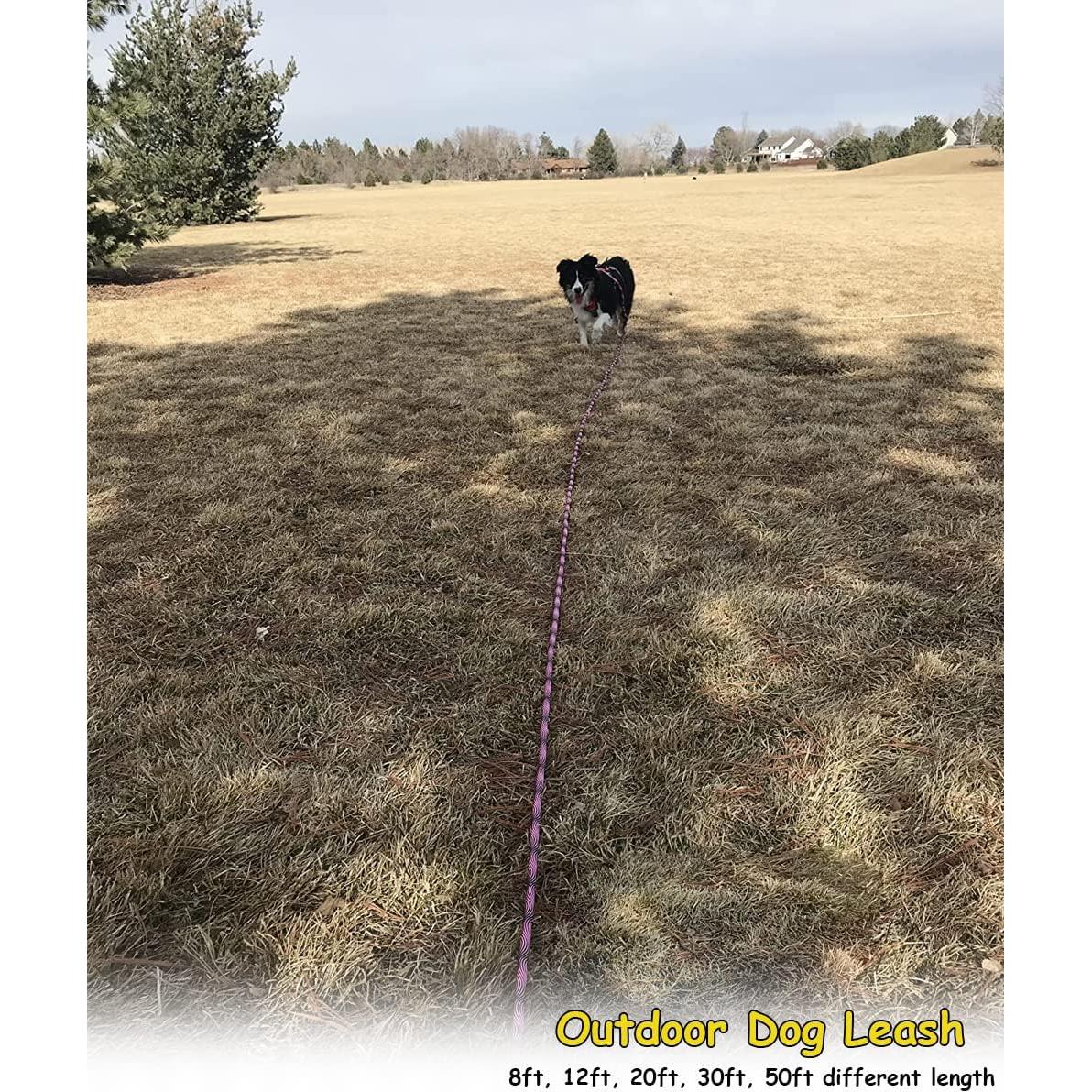 Correa Larga para Perros BTINESFUL 15m Rosa Negro