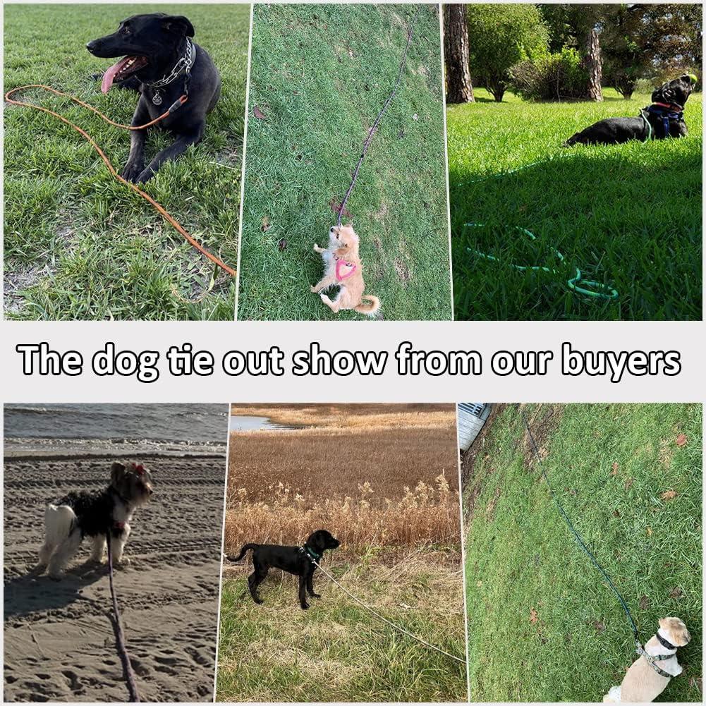 Correa Larga para Perros BTINESFUL 15m Rosa Negro