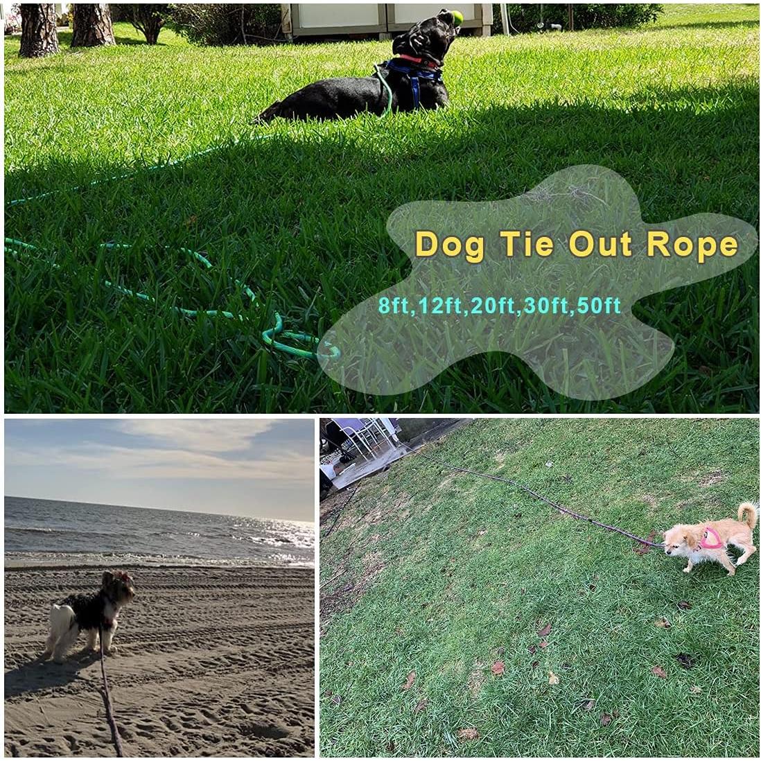 Correa Larga para Perros BTINESFUL 15m Rosa Negro