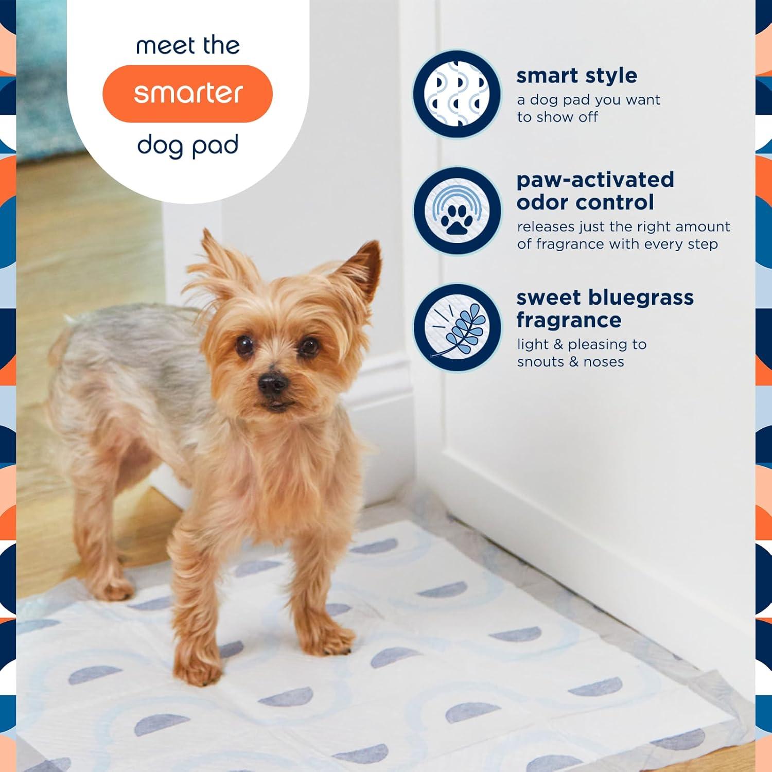 Almohadillas para Perros KAS Pet Smart Prints 40 Unidades