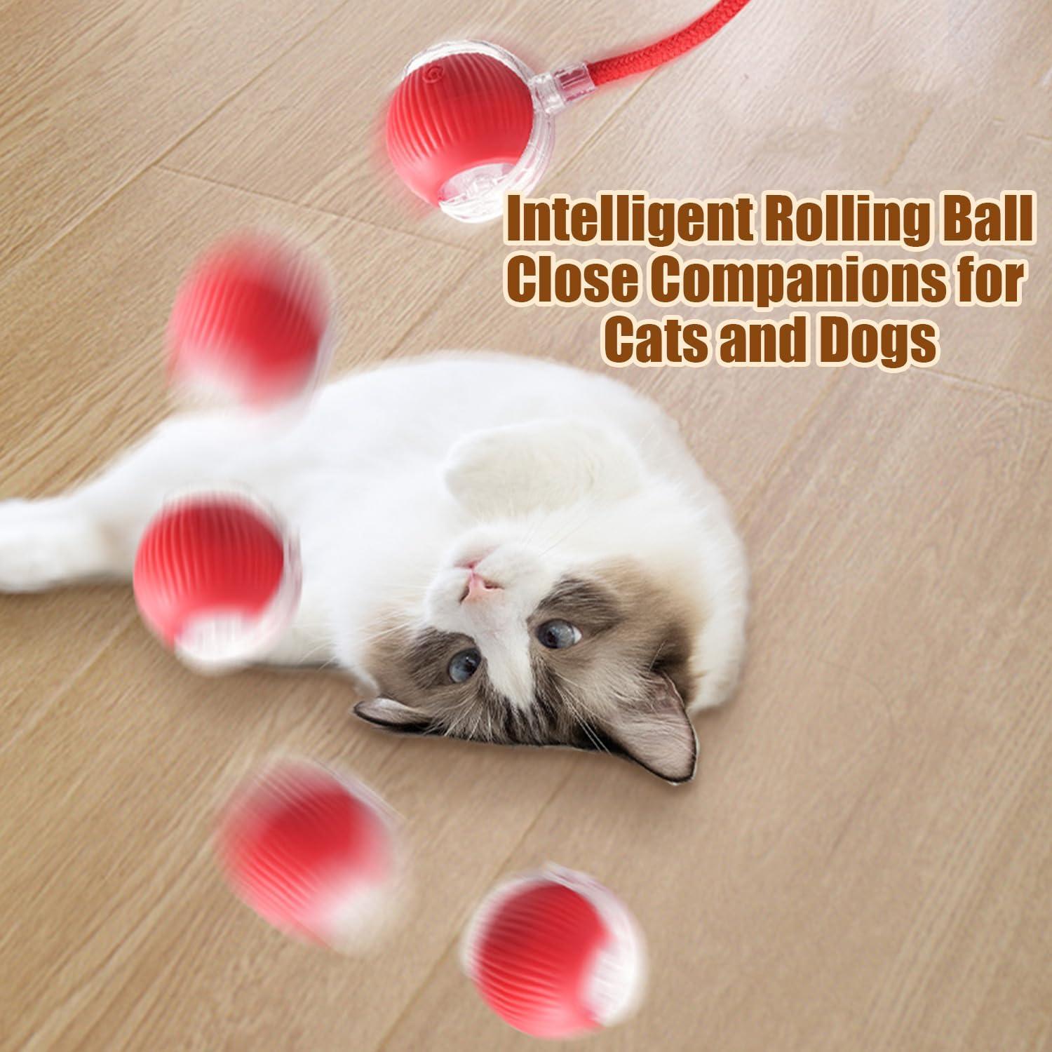 2PC Interactive Cat Toys,360 ° Fully Automatic Dogs & Cats Smart Rolling Ball,Durable and Rechargeable (Green)