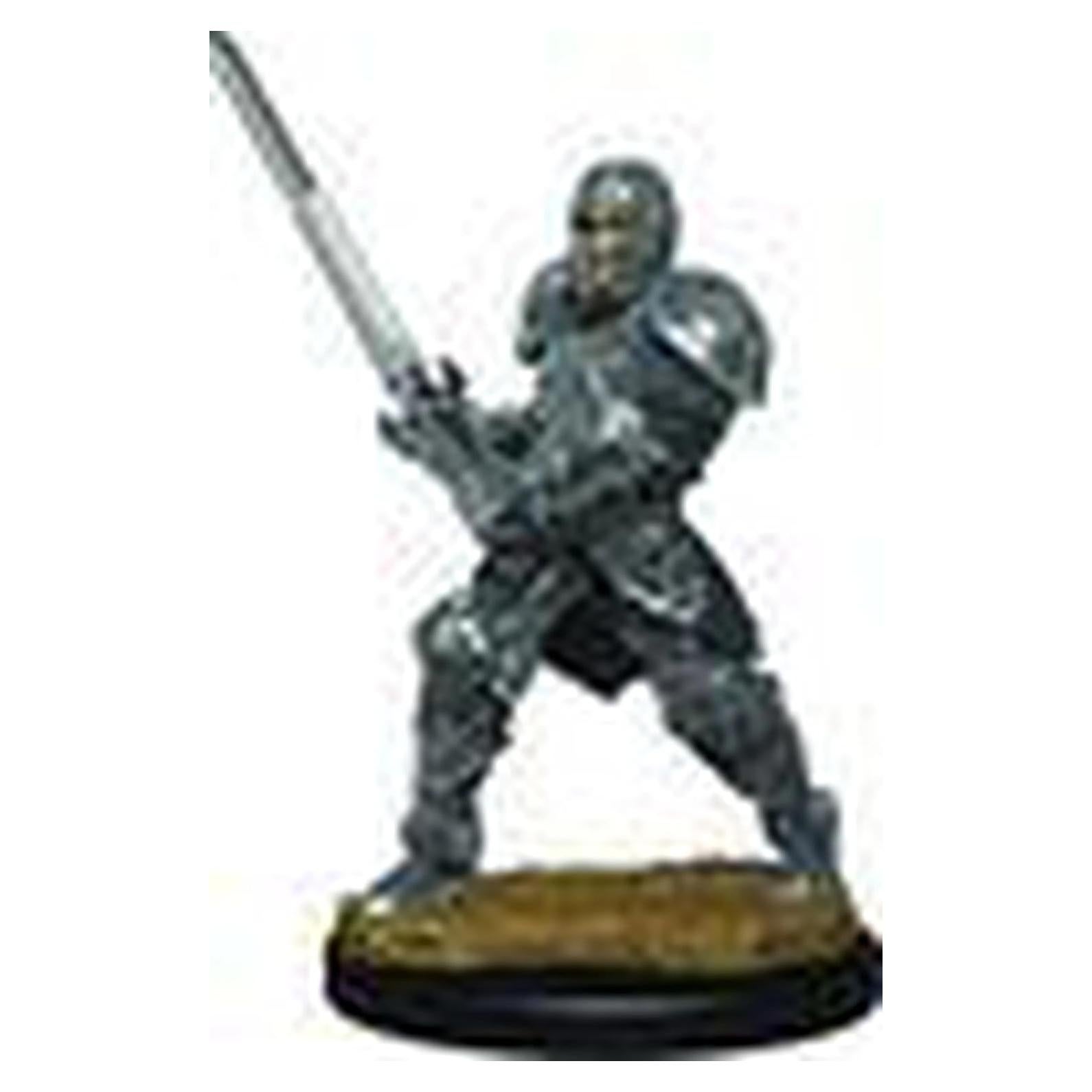 Figuras D&D WizKids Guerrero Humano 29.5x29.5x8.5cm