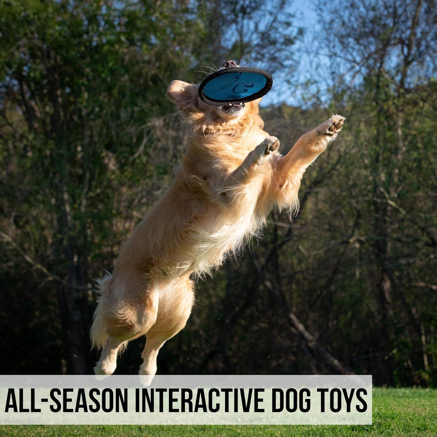 Frisbee Interactivo para Perros Hyper Pet Flippy Flopper 23cm