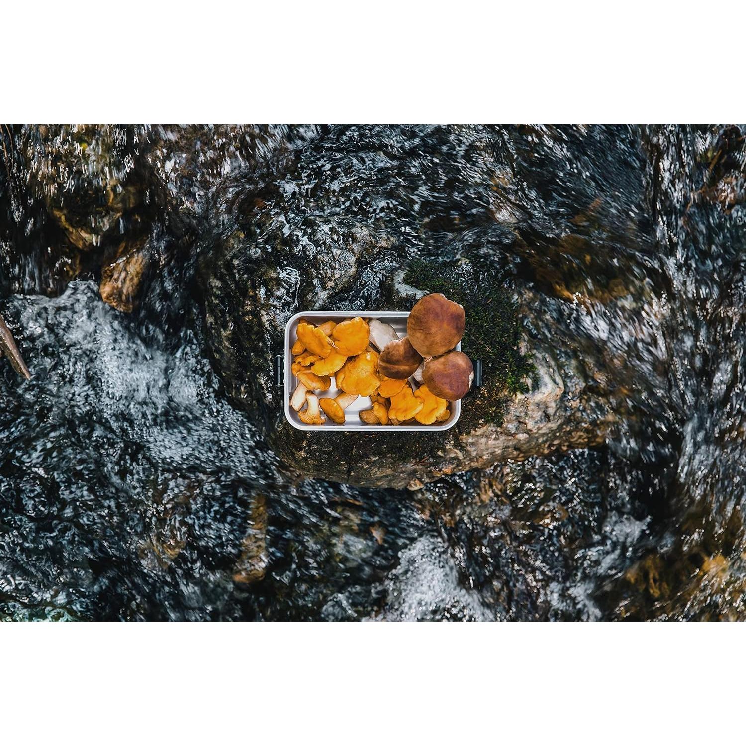 Caja de Almuerzo SIGG de Aluminio Pequeña - Apta Microondas