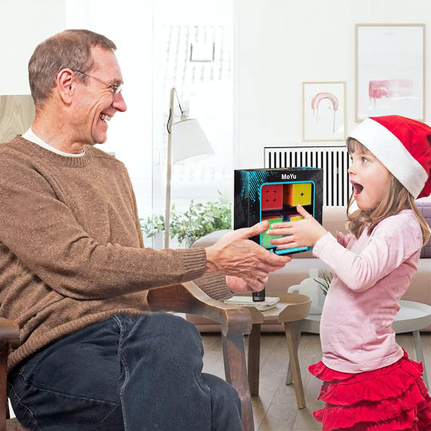 Conjunto de Cubos Rápidos D-FantiX Meilong 2x2 3x3 4x4 5x5 en Caja