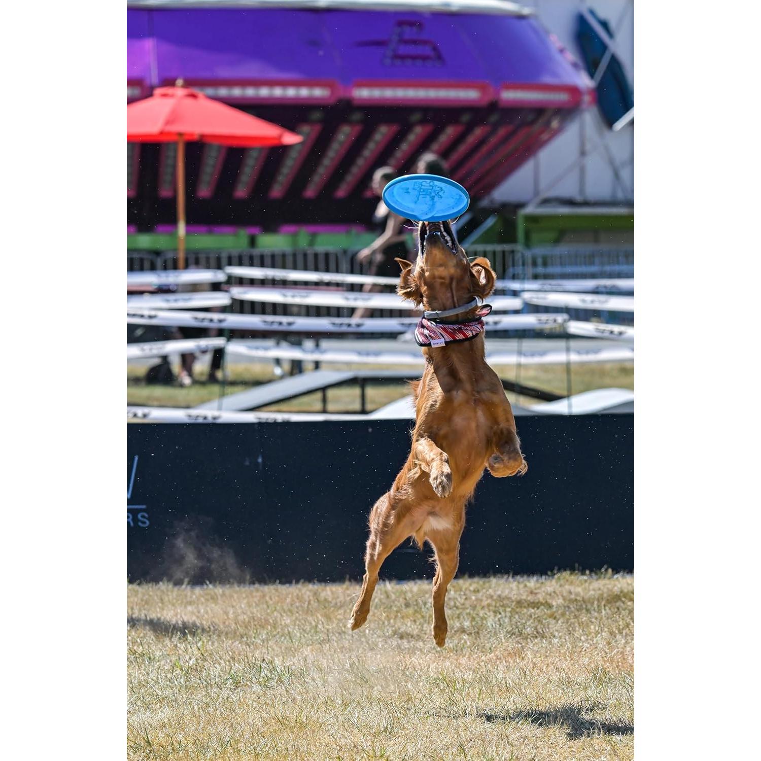 Frisbee K9 Candy Superhéroe 235 Rosa para Perros