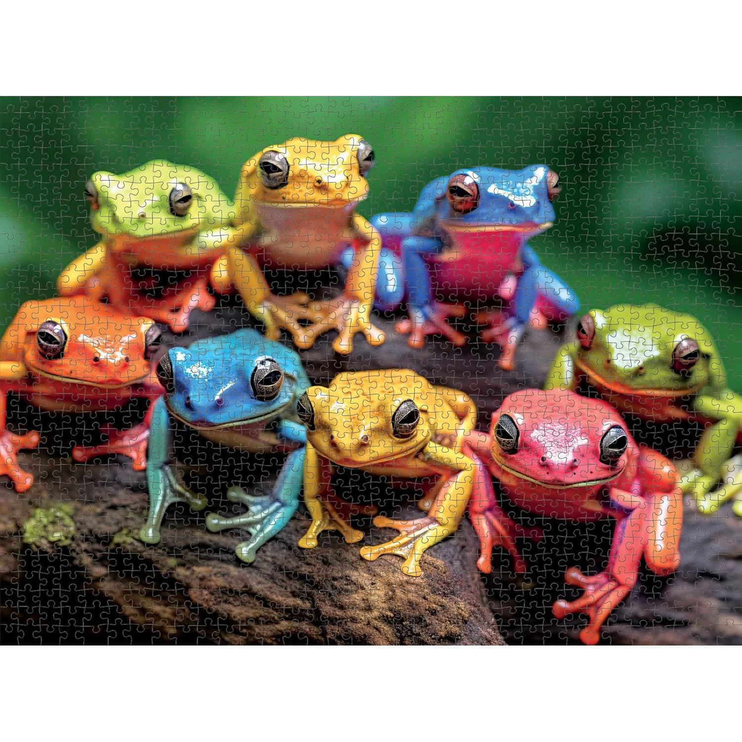 Rompecabezas 1000 Piezas Cross & Glory Rainbow Ribbit