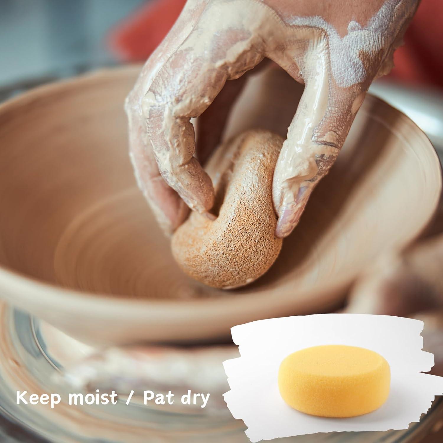 TEMONTIAN Pottery Tool Kit，Clay Sculpting Tools,43 Pcs Double Sided Pottery Wheel Tools for Adults，Pottery Carving Tools，Pottery Kiln Tools at Home，Ceramics Tools Set with Carrying Case Bag and Apron