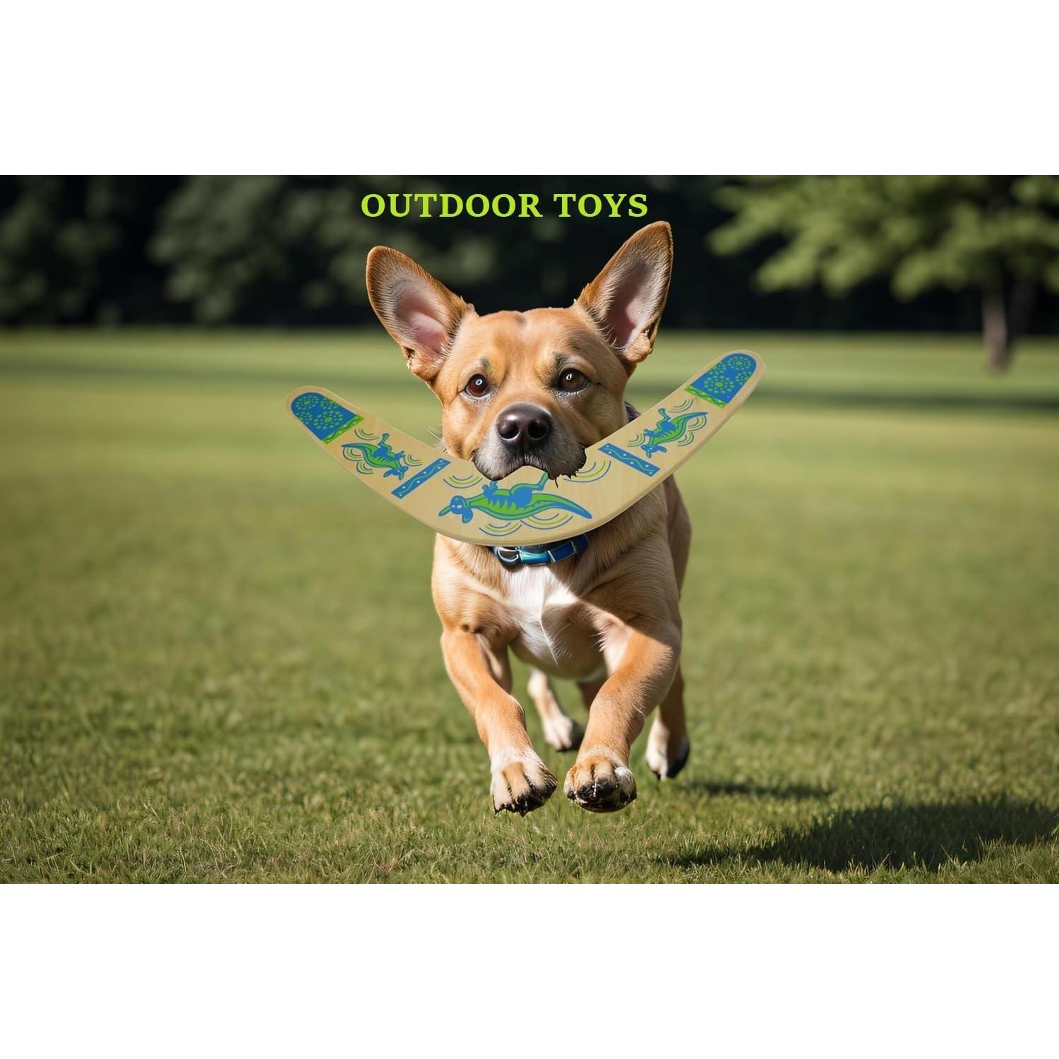 Boomerang de Madera Alreczio Azul para Niños y Adultos