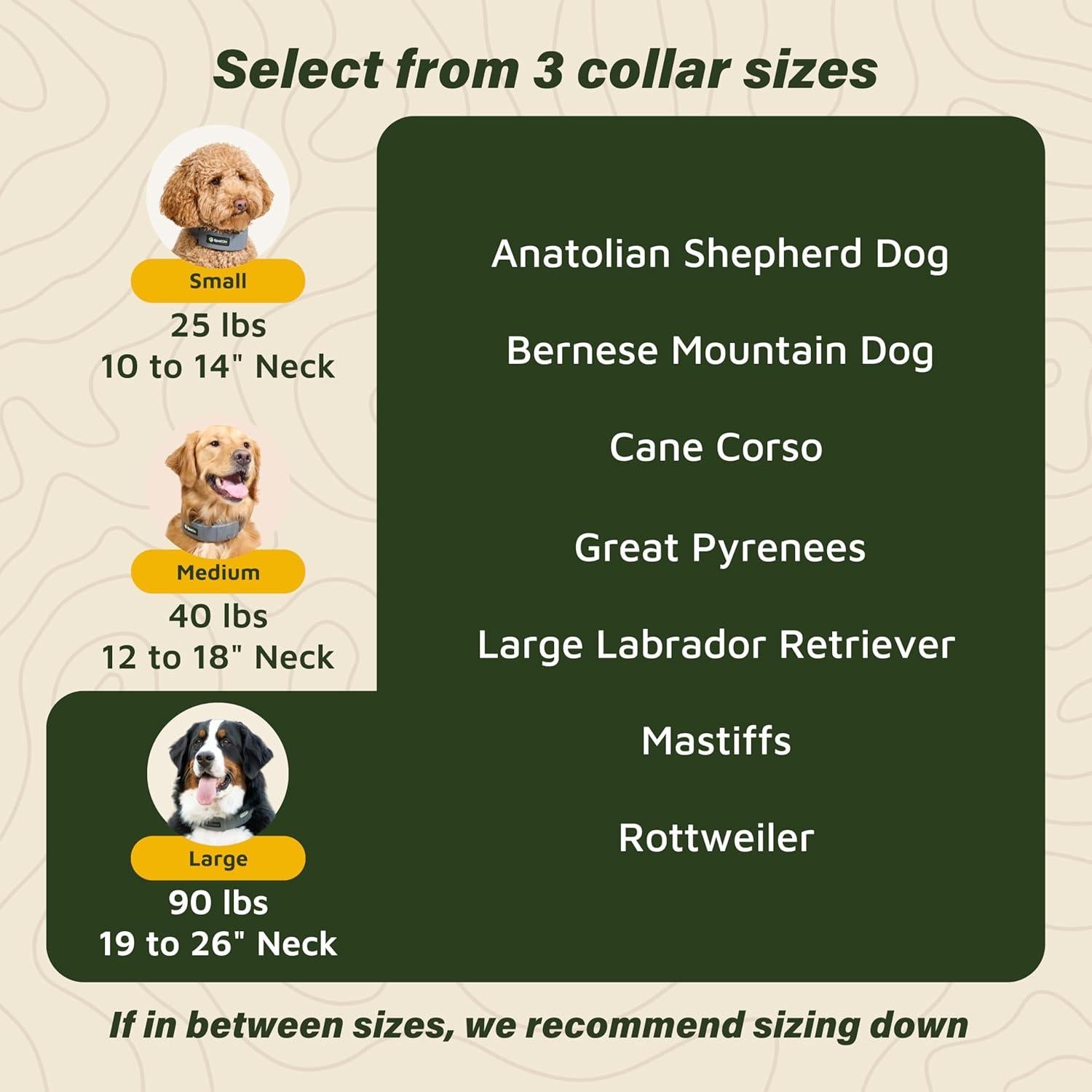 Collar GPS SpotOn para Perros Grande, Impermeable y Preciso