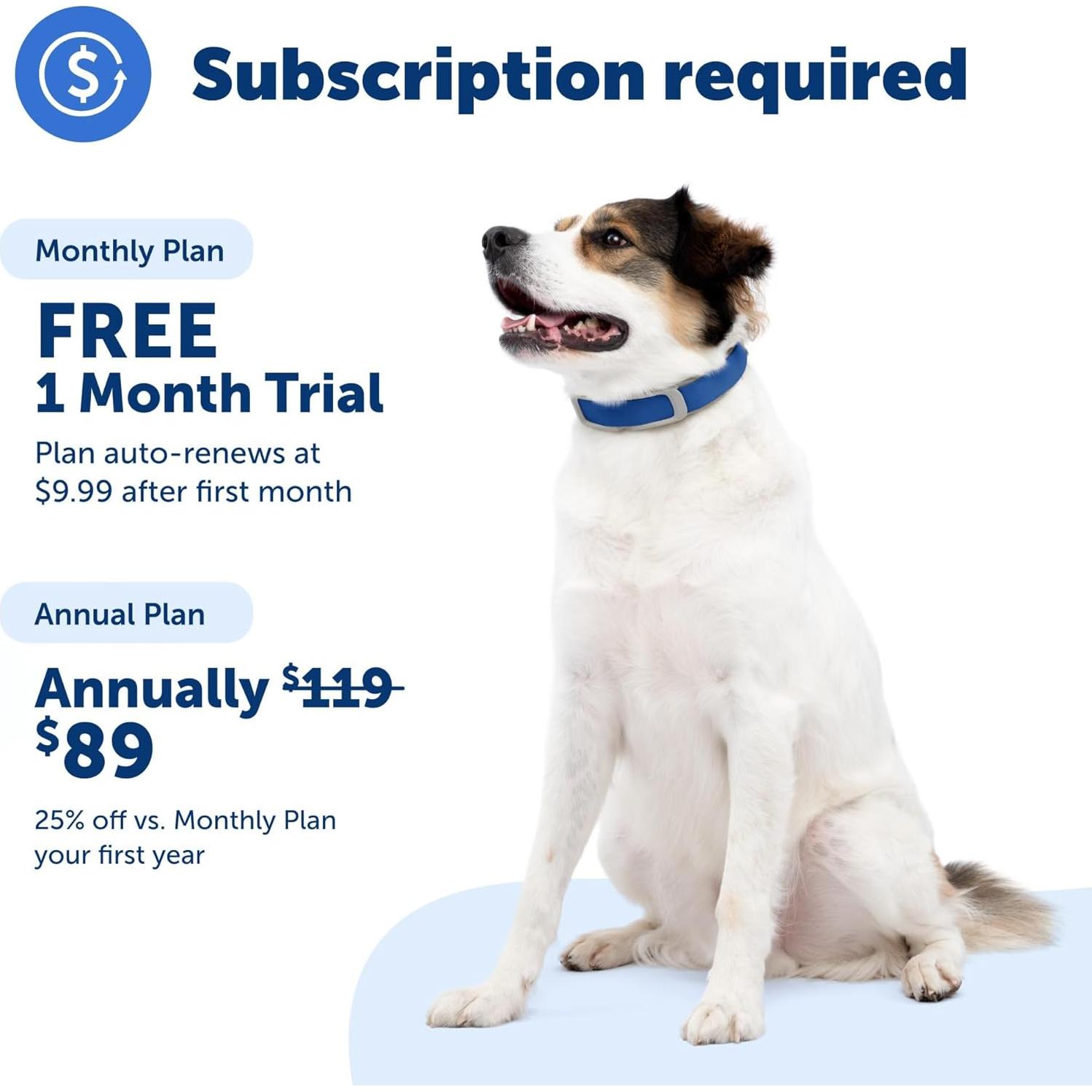 Collar GPS para Perros PetSafe Guardian + Cerca Invisible