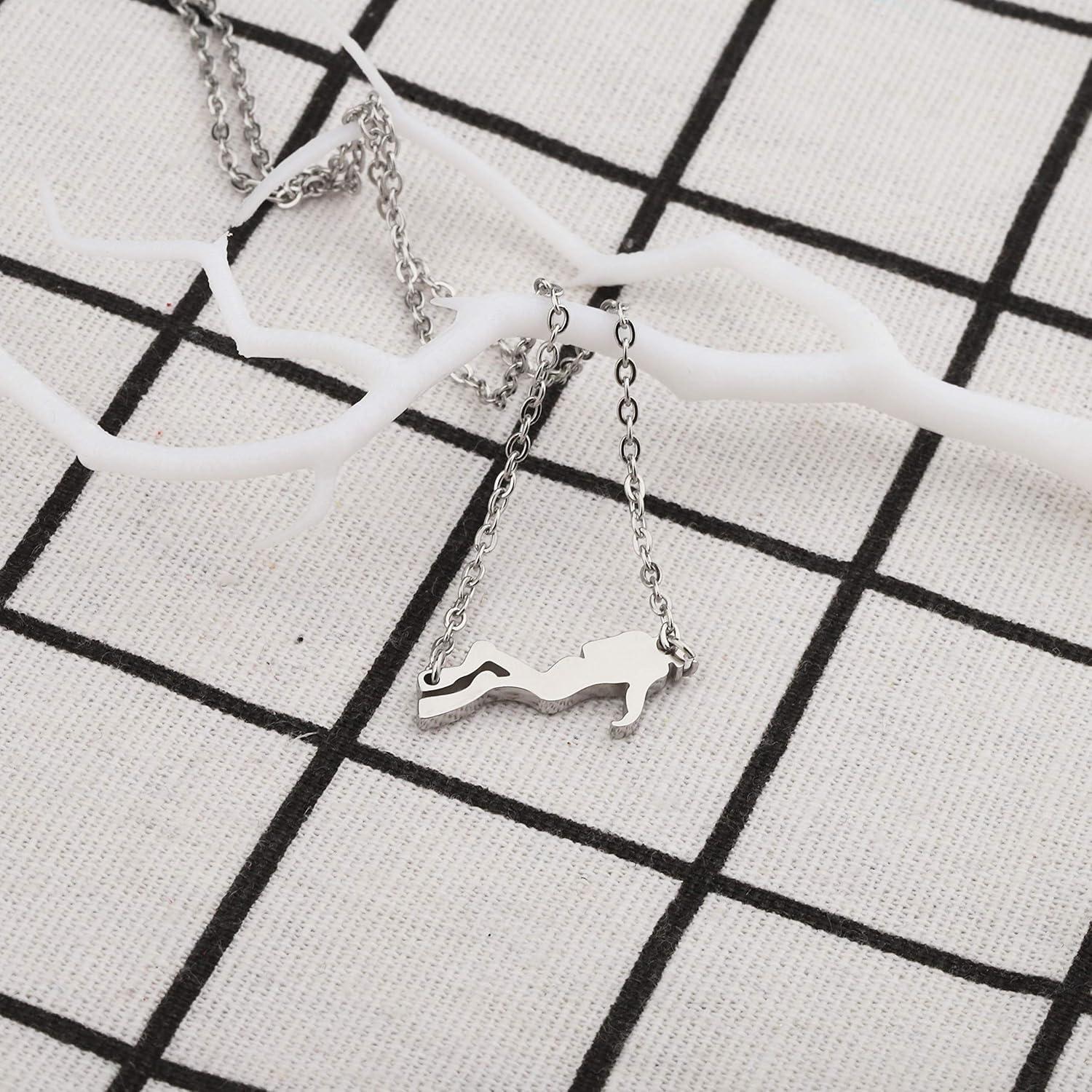 Collar de Buceador BAUNA Acero Inoxidable 46 cm Regalo