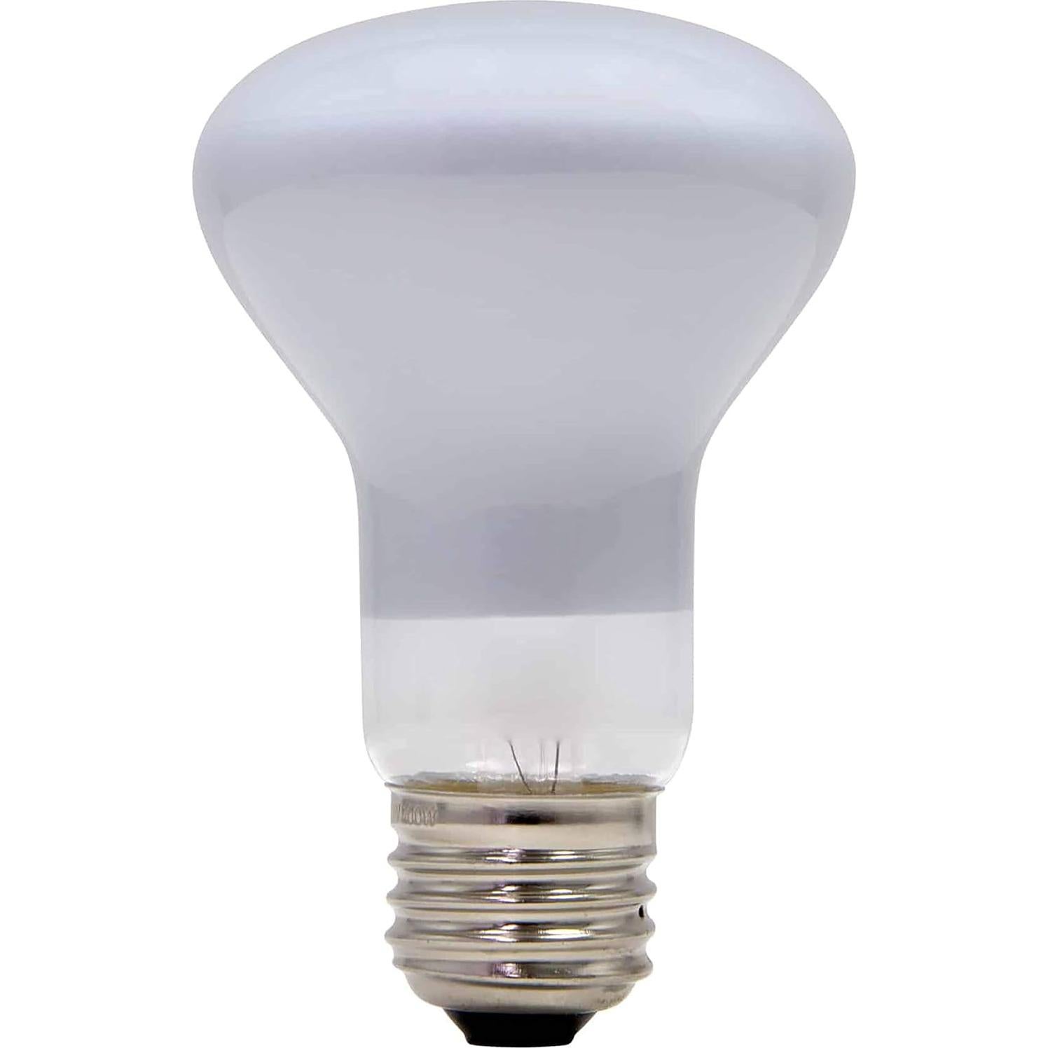 Bombilla Incandescente Lava 100W para Lámpara Grande 68,58cm