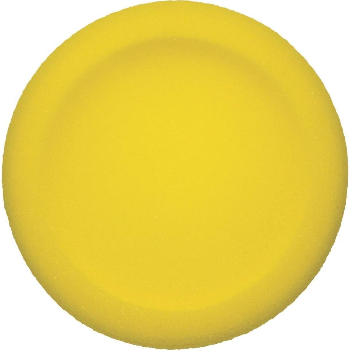 Set de Discos de Espuma Champion Sports 6 Colores 22,86 cm