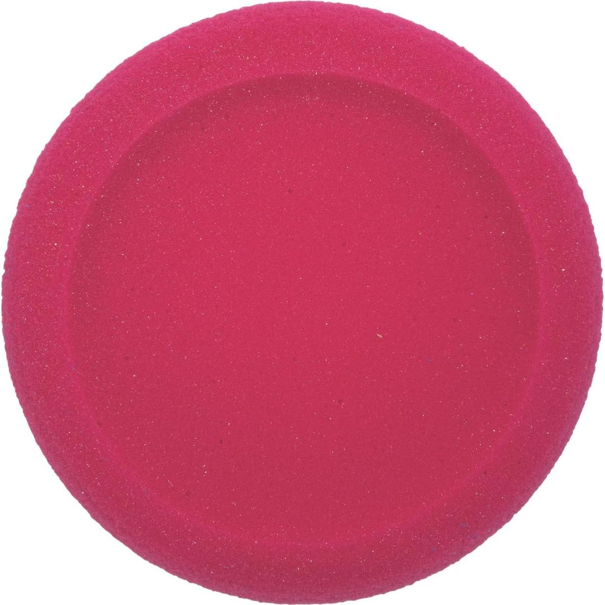 Set de Discos de Espuma Champion Sports 6 Colores 22,86 cm